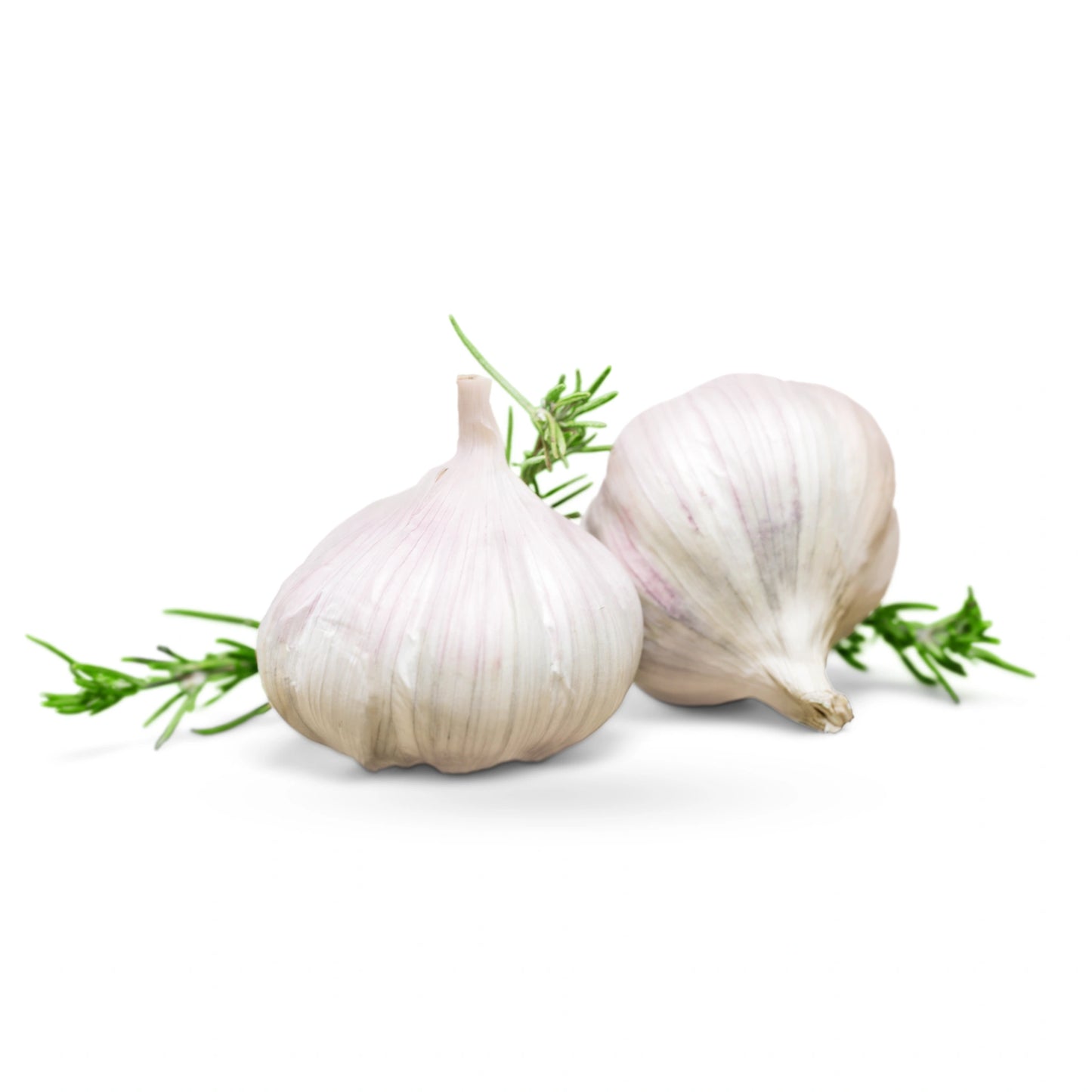Garlic Pack of 5