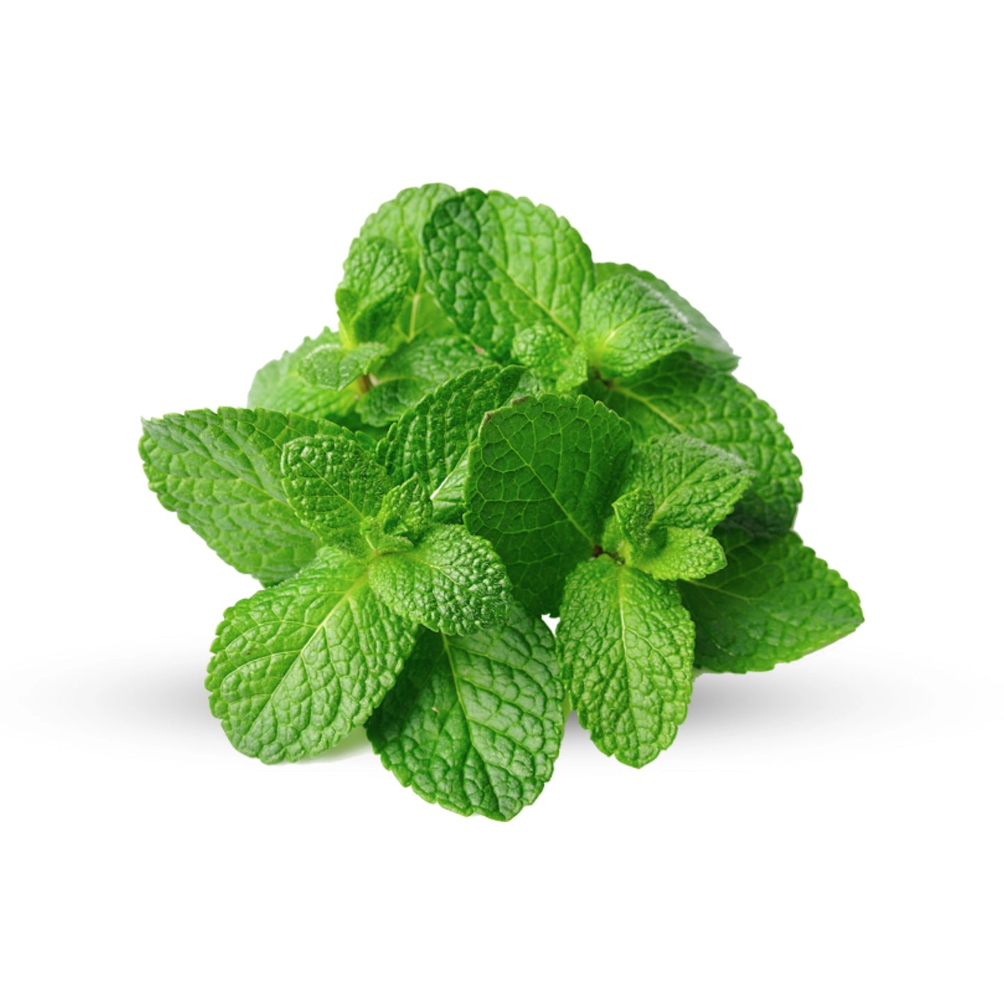 Mint Leaves 1 bunch