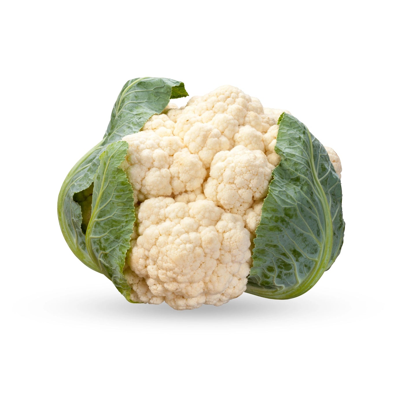 Cauliflower 1 Piece