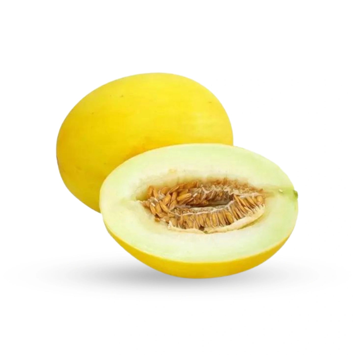 Indian Yellow Cucumber (Dosakai) 1 to 1.5 Lb