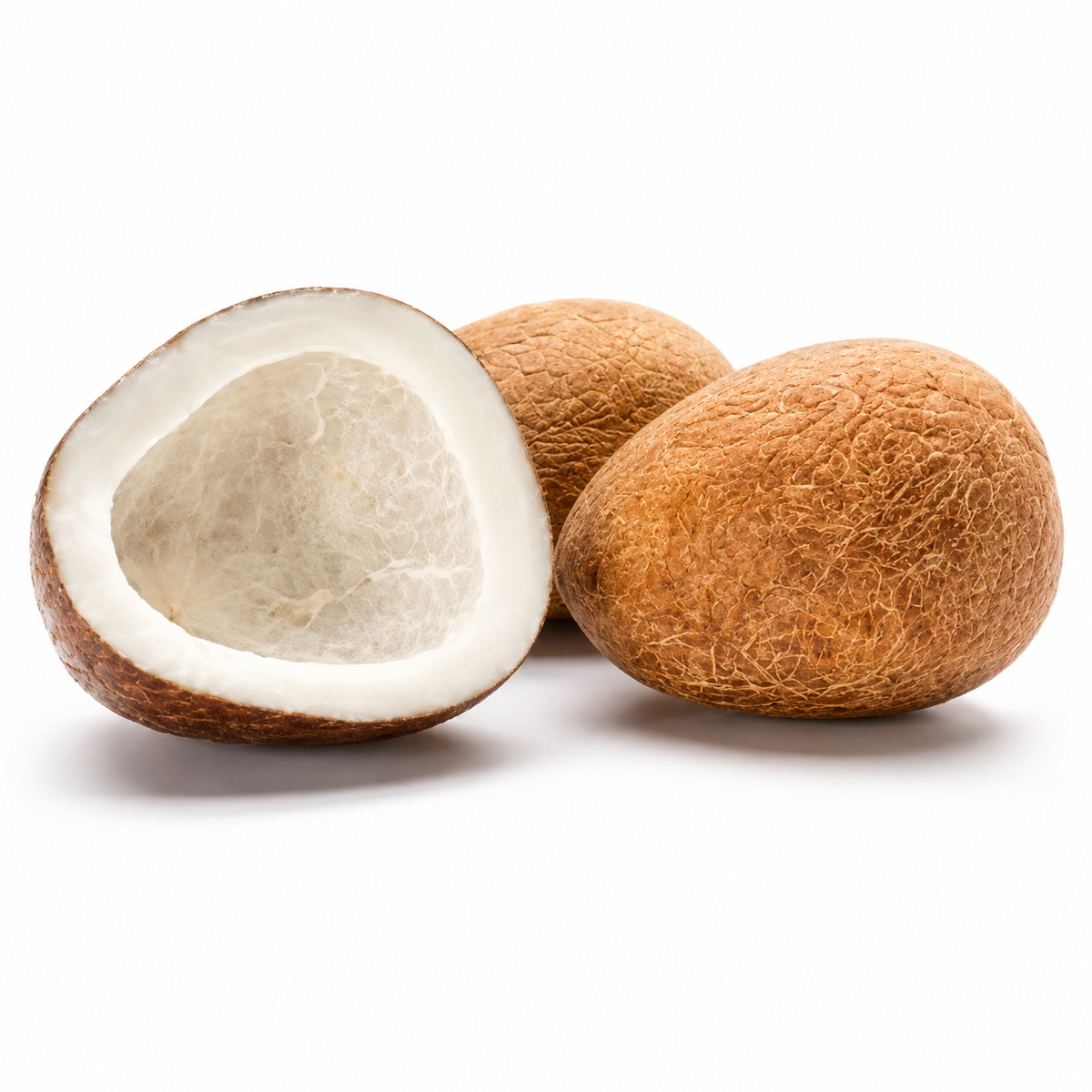 Whole Dry Coconut (Copra) 1 Ct