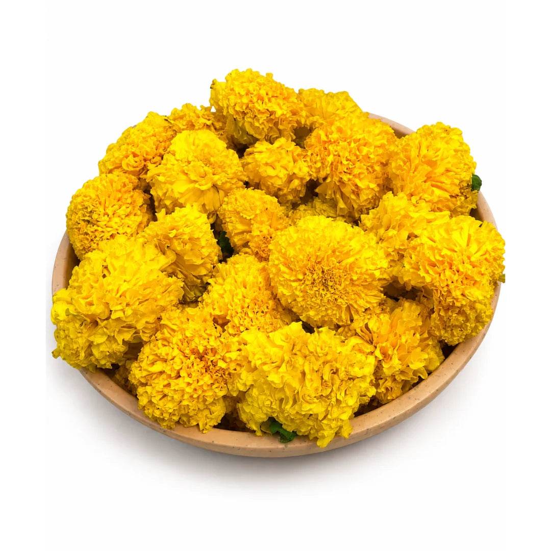 Marigold Yellow Flower 100 Gm