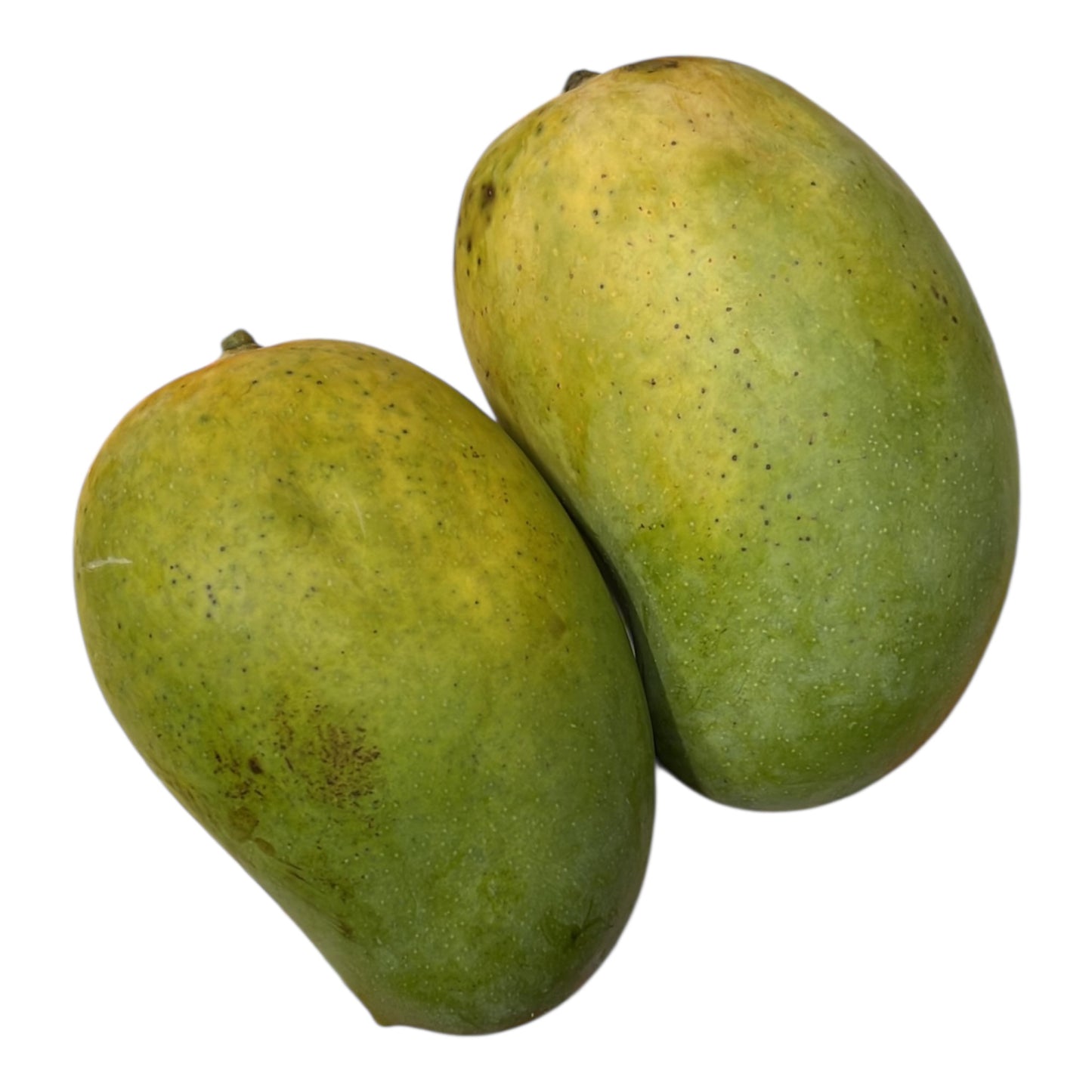 Kesar Mango 1 ct
