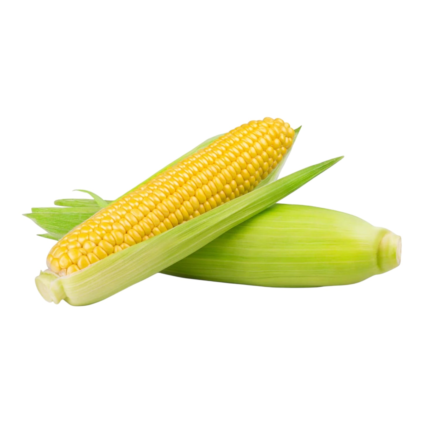 Sweet Corn 1 ct
