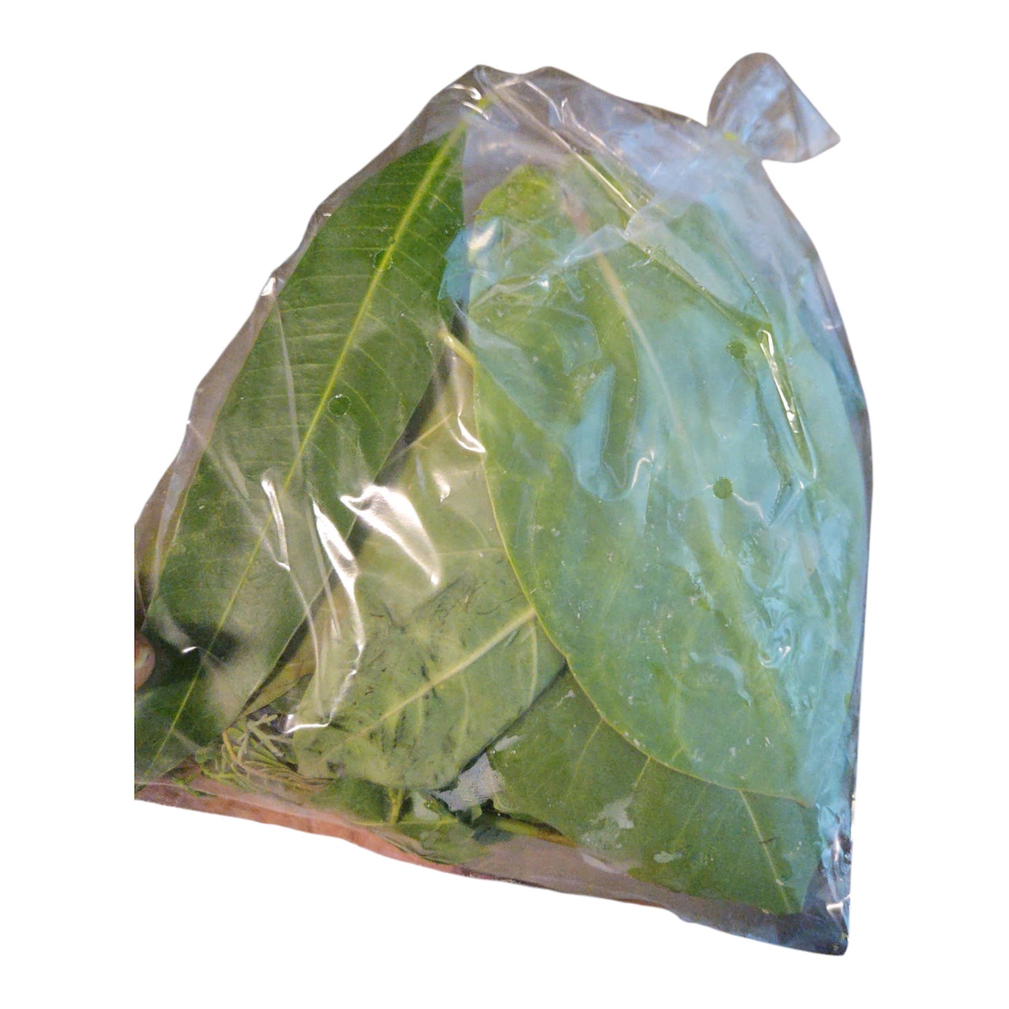 Patri (10 varieties) 1 pk