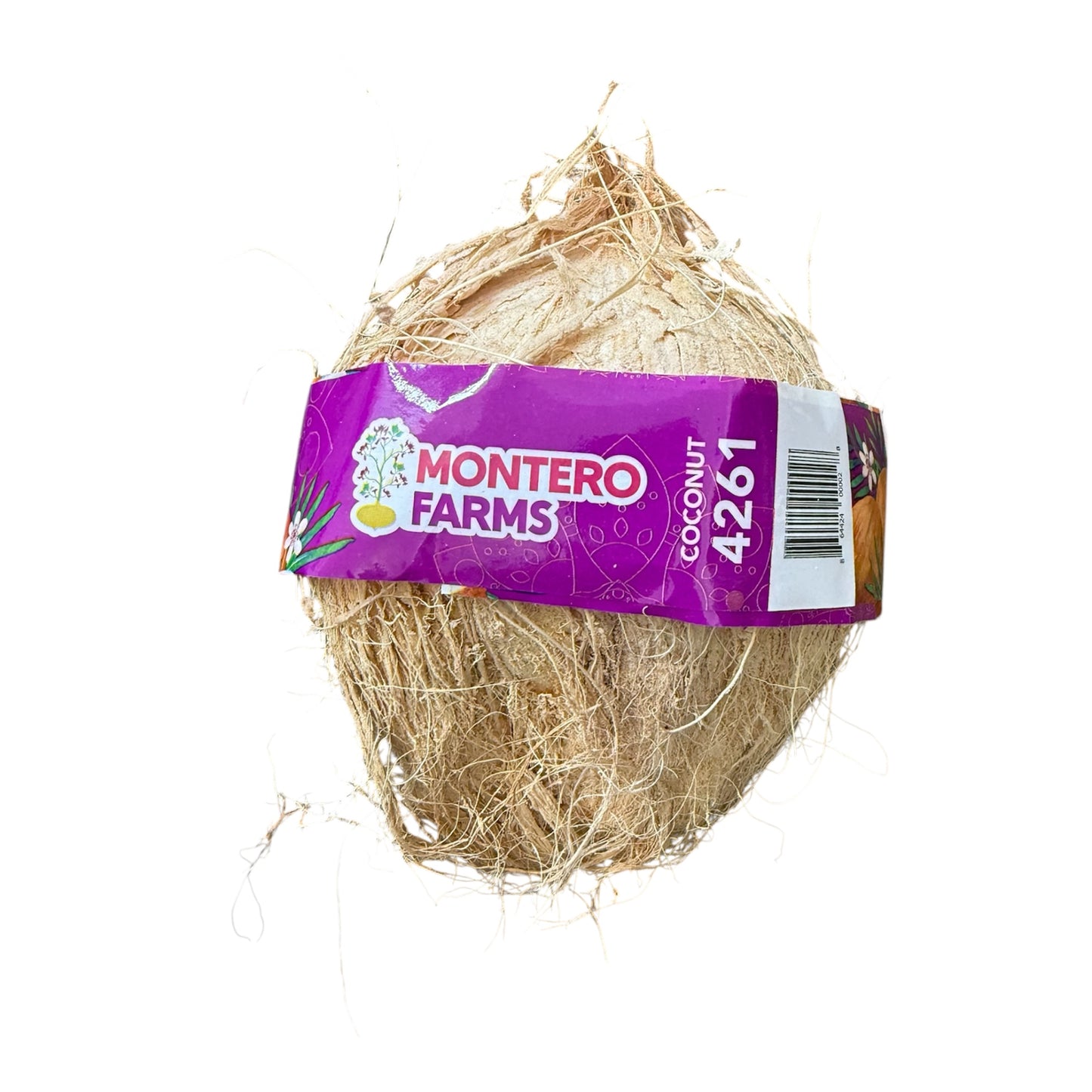 HEB Coconut 1 Ct
