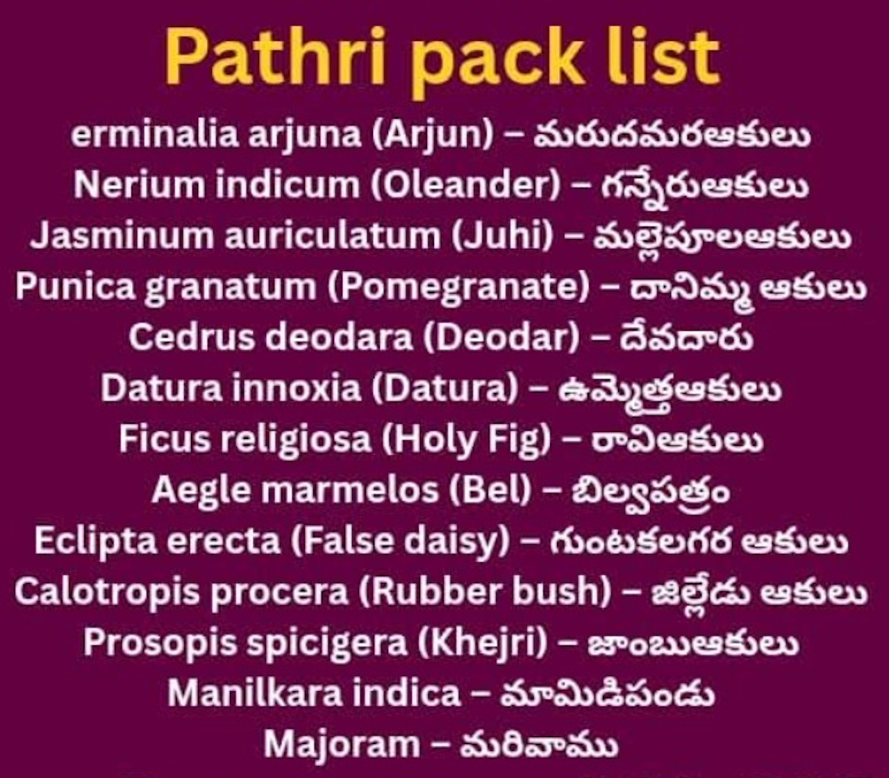 Patri (10 varieties) 1 pk