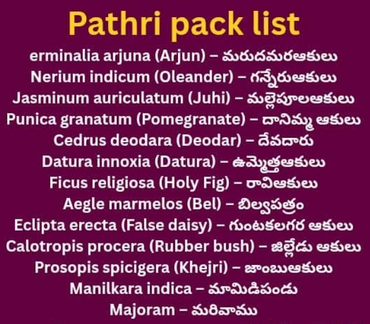 Patri (10 varieties) 1 pk