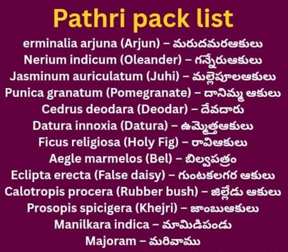 Patri (10 varieties) 1 pk