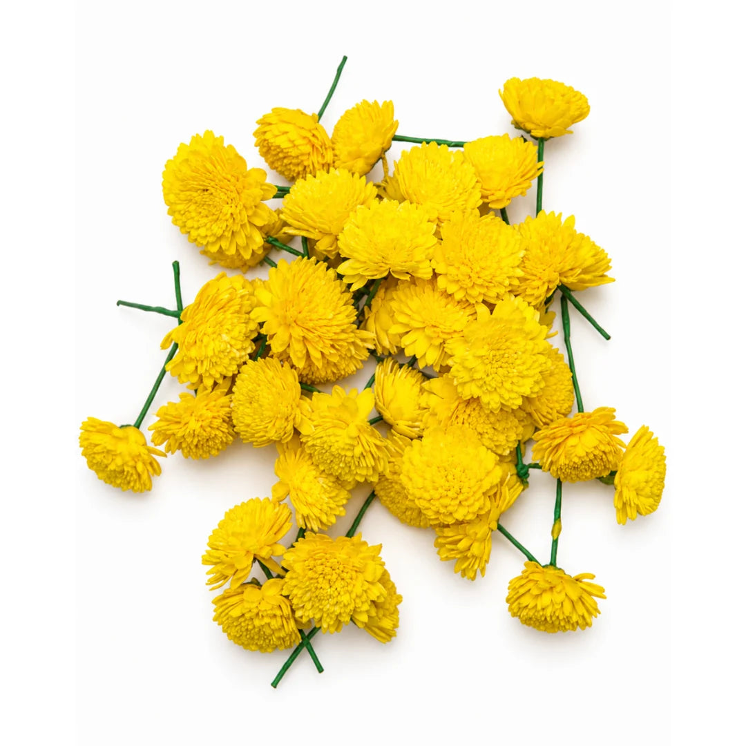 Yellow Chrysanthemum Flowers (Chamanthi) 100 Gm