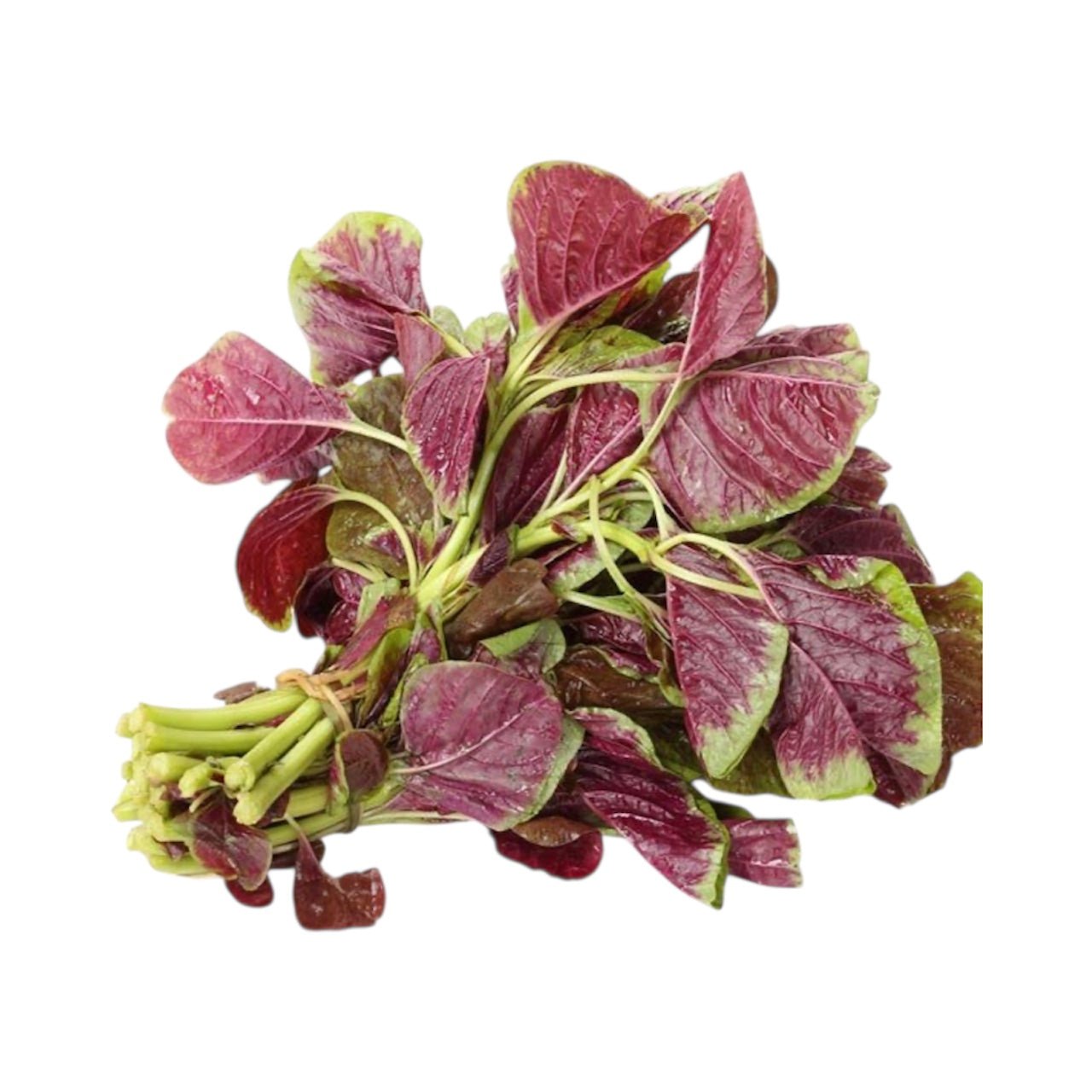 Amaranth Leaves Red Pack of 1
