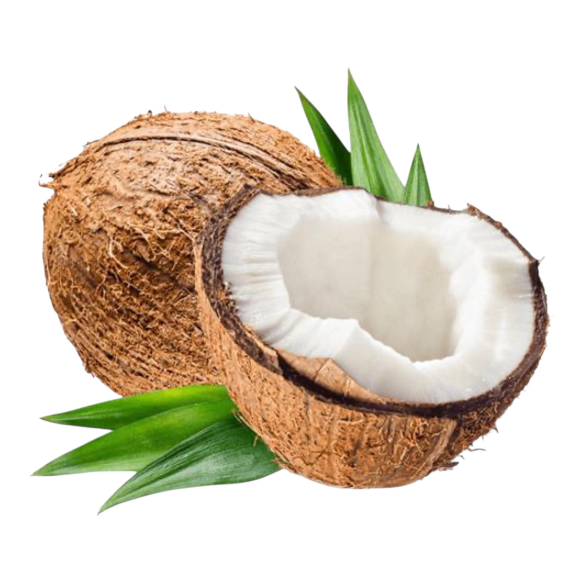 Brown Coconut 1 Ct