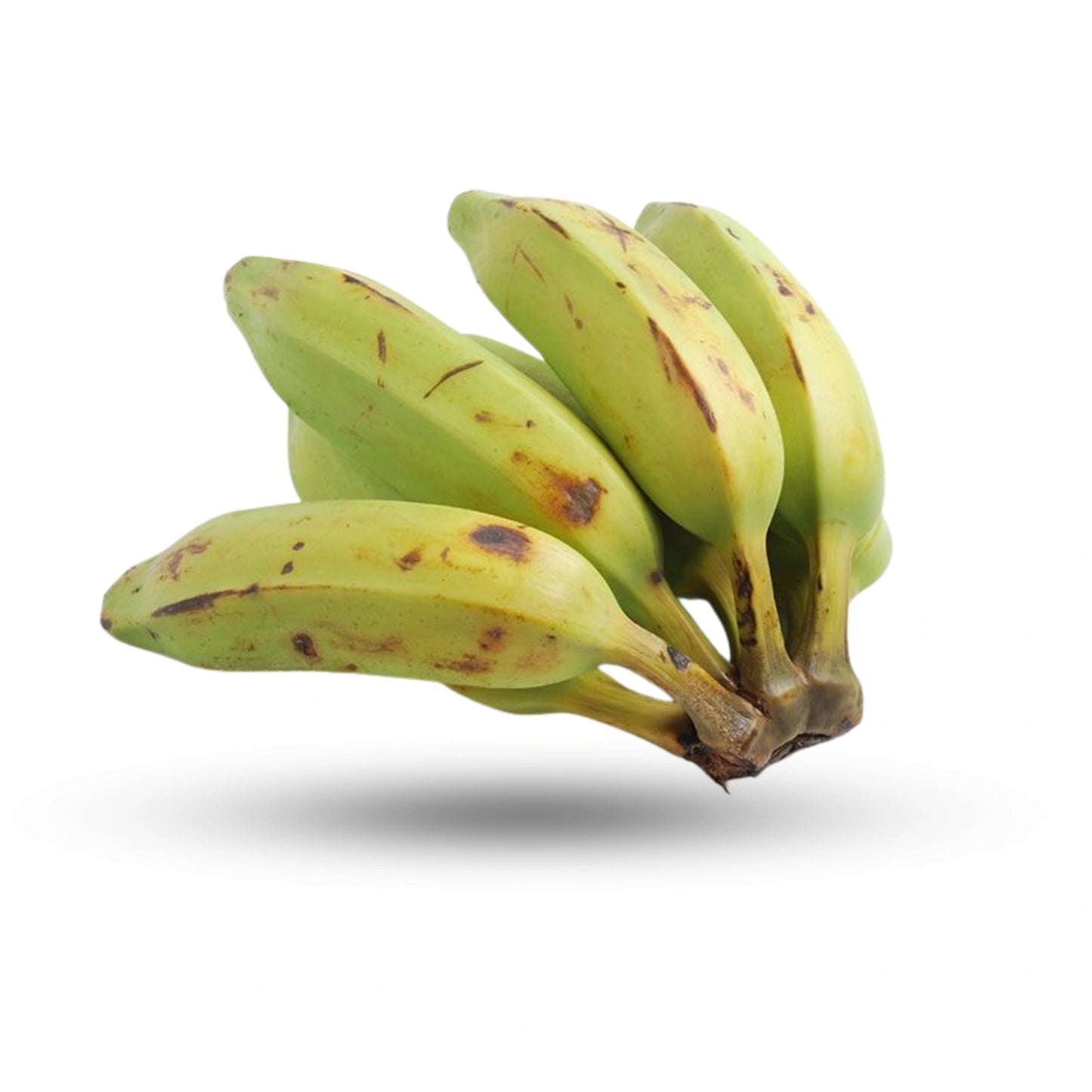 Burro Banana 1 Lb