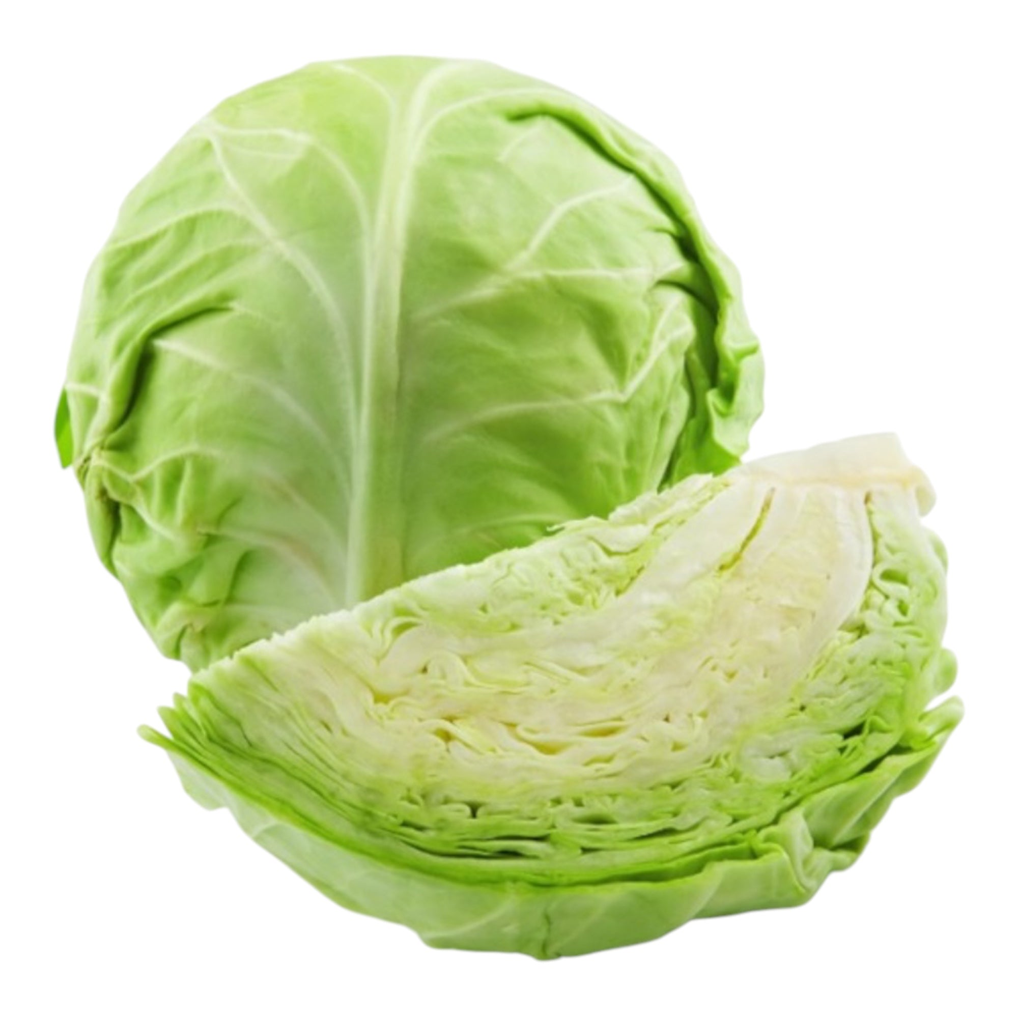 Cabbage Green 1 Ct