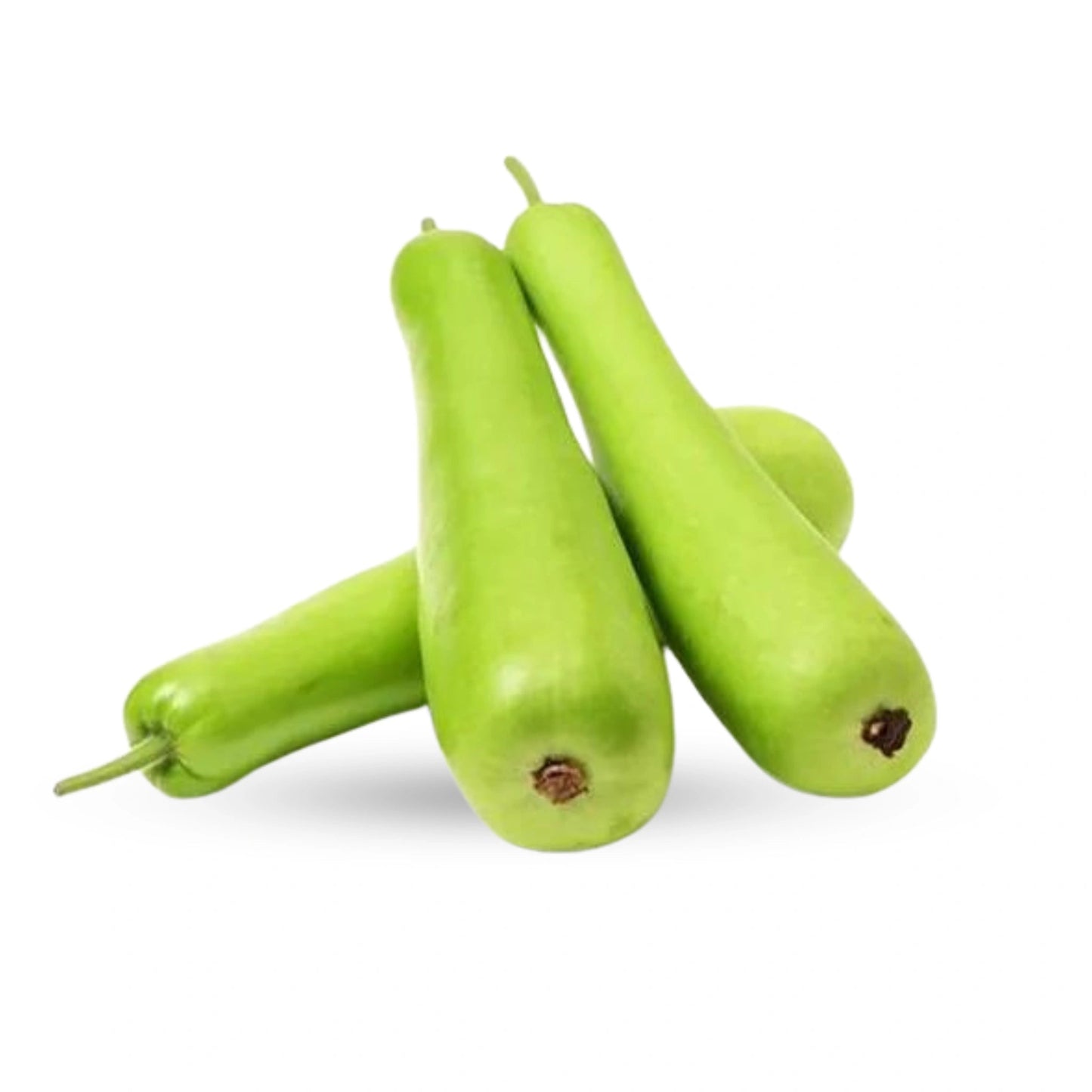 Chinese Bottle Gourd (Dudhi) 1 - 1.5 Lb