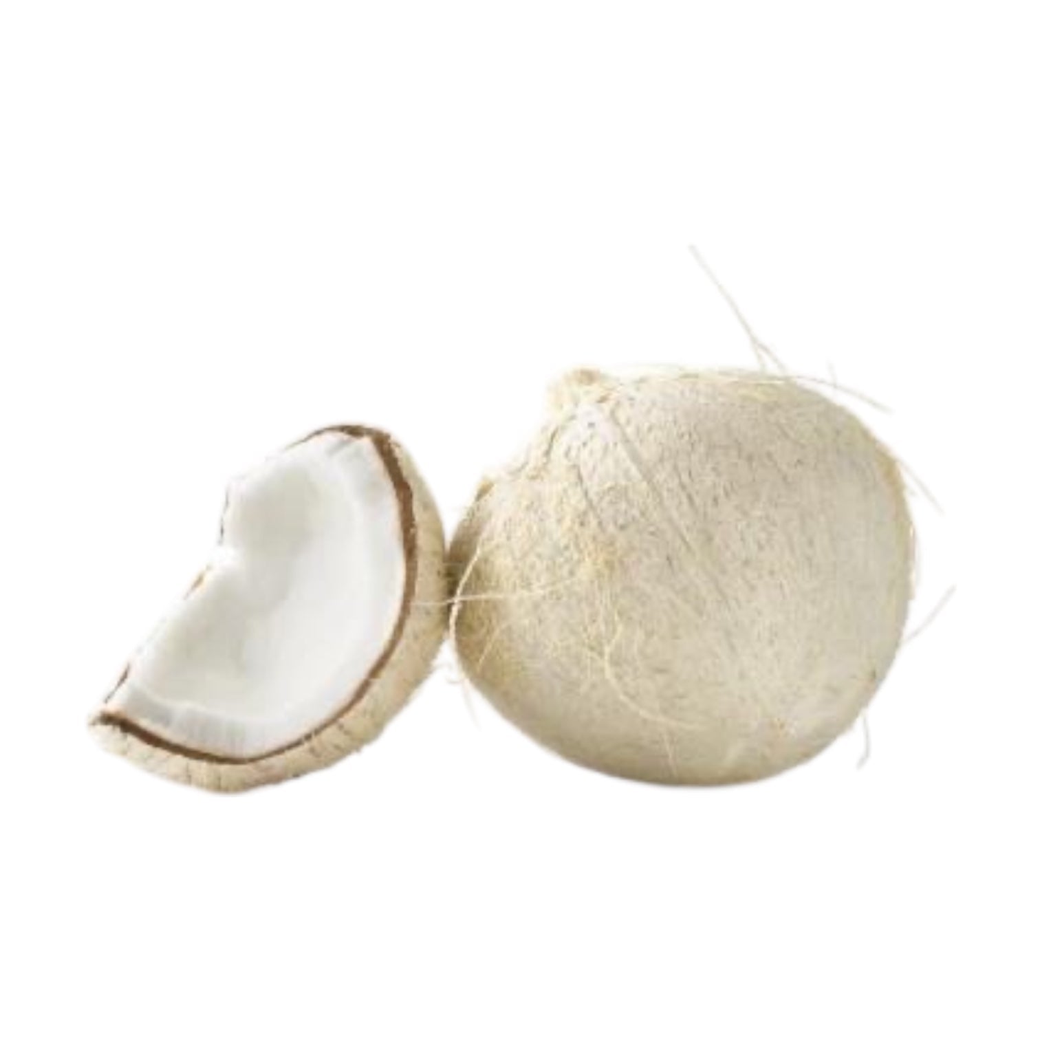 Coconut White 1 Ct