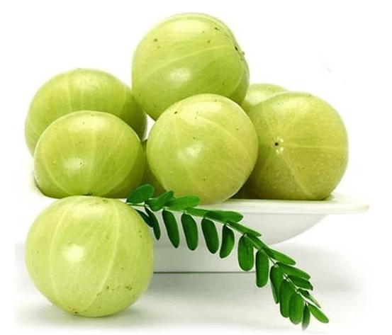 Fresh Amla 5 Ct