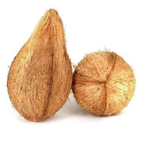 Fresh Pooja Coconut 1 Piece