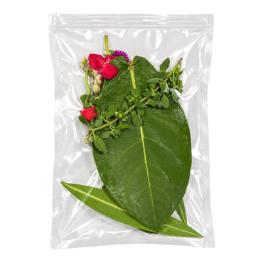 Ganesh Patri Leaves (8 Varieties) 1 Pack