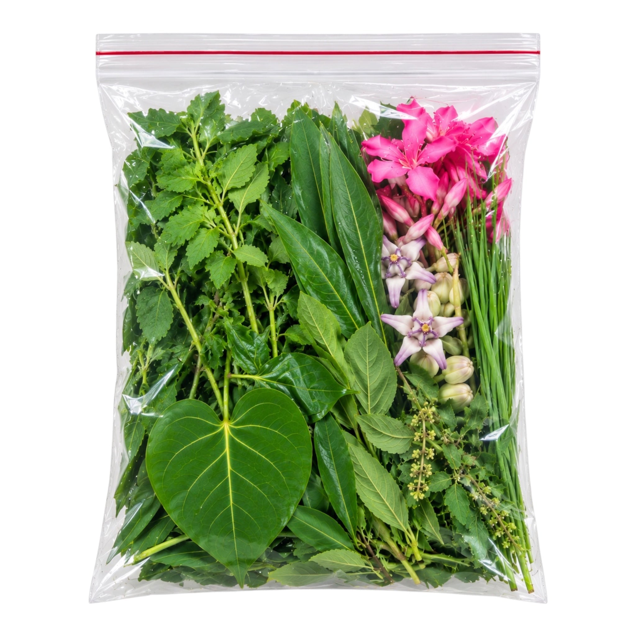Ganesh Patri Leaves (9 Varieties) 1 Pack
