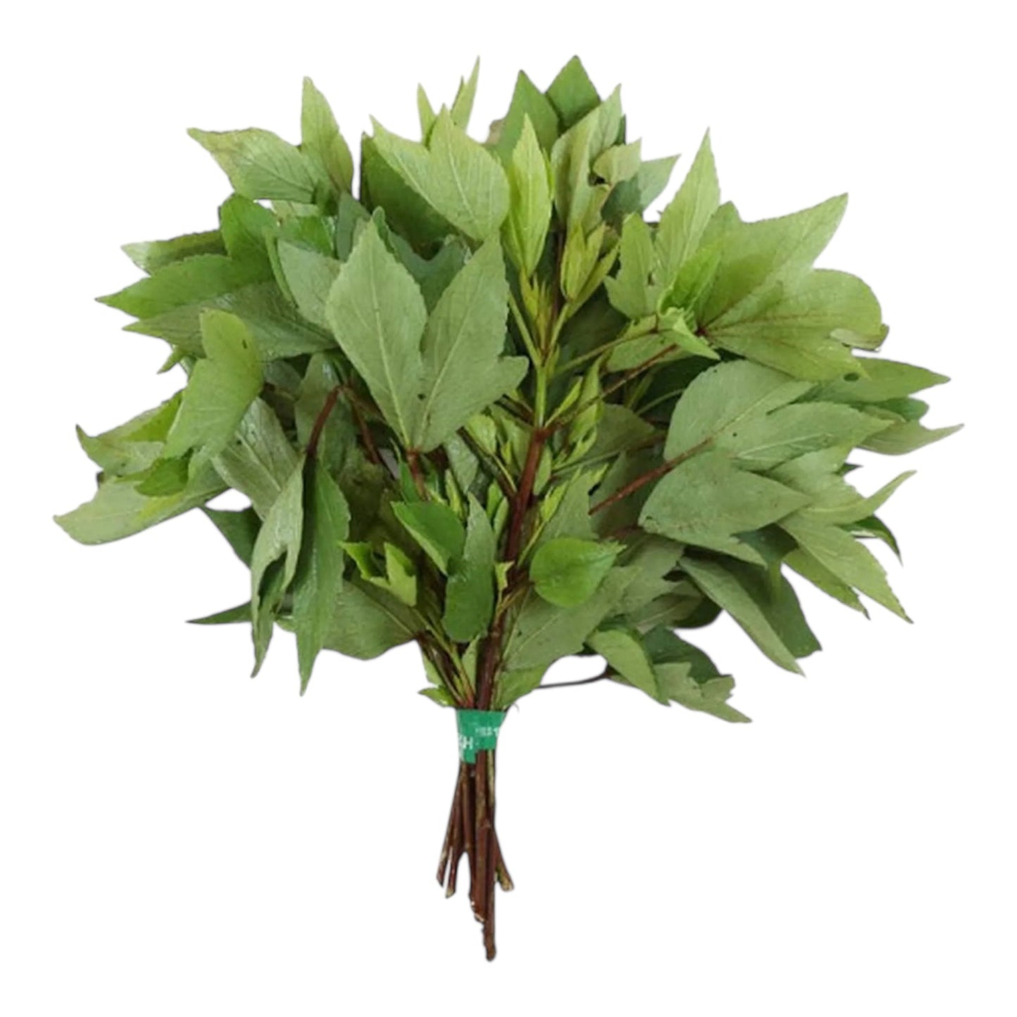 Gongura Leaves 1 LB