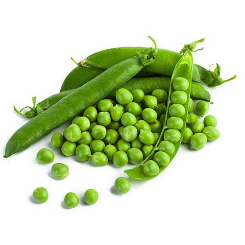 Green Vatana Fresh 1 LB