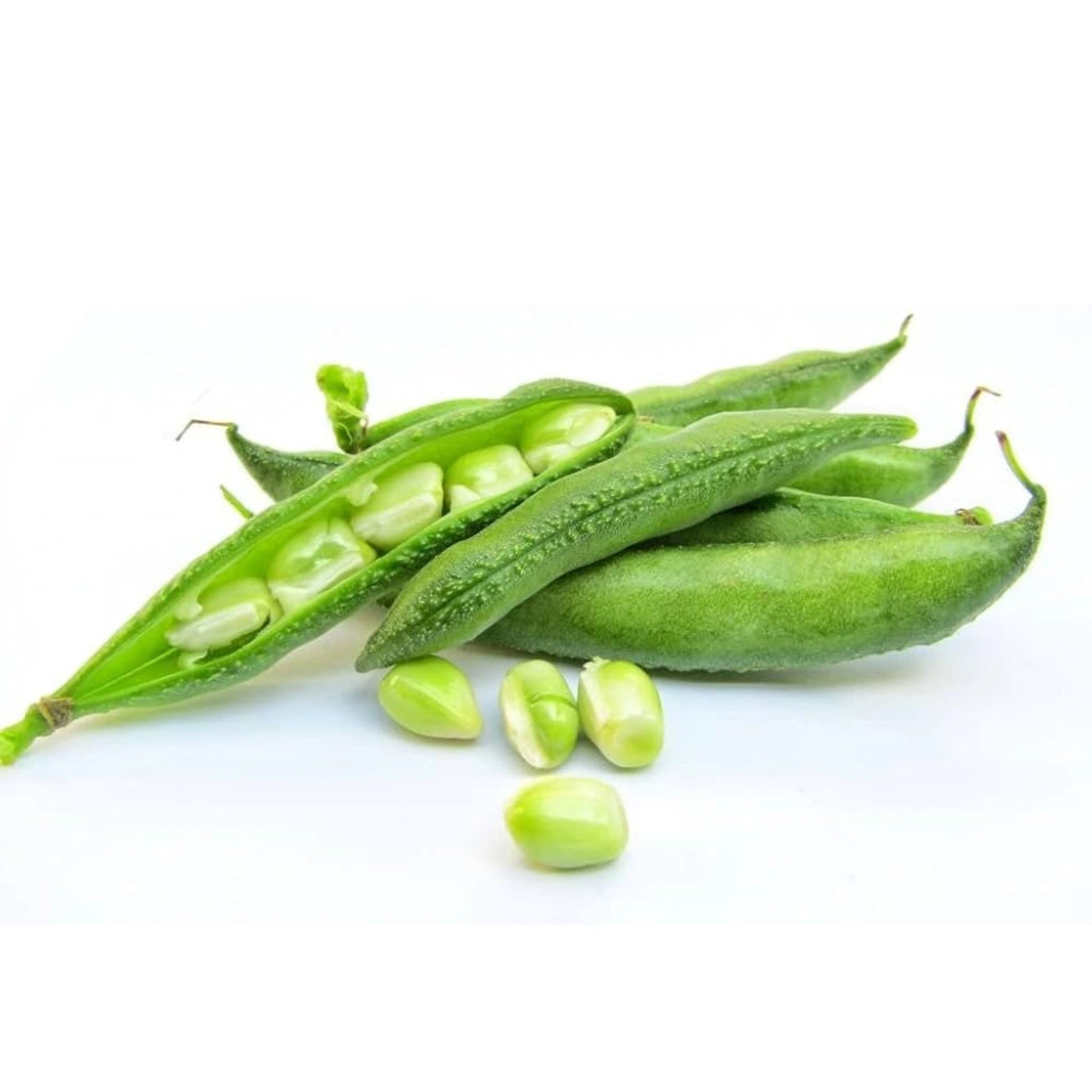 Hyacinth Bean /Desi Papdi 1 Lb