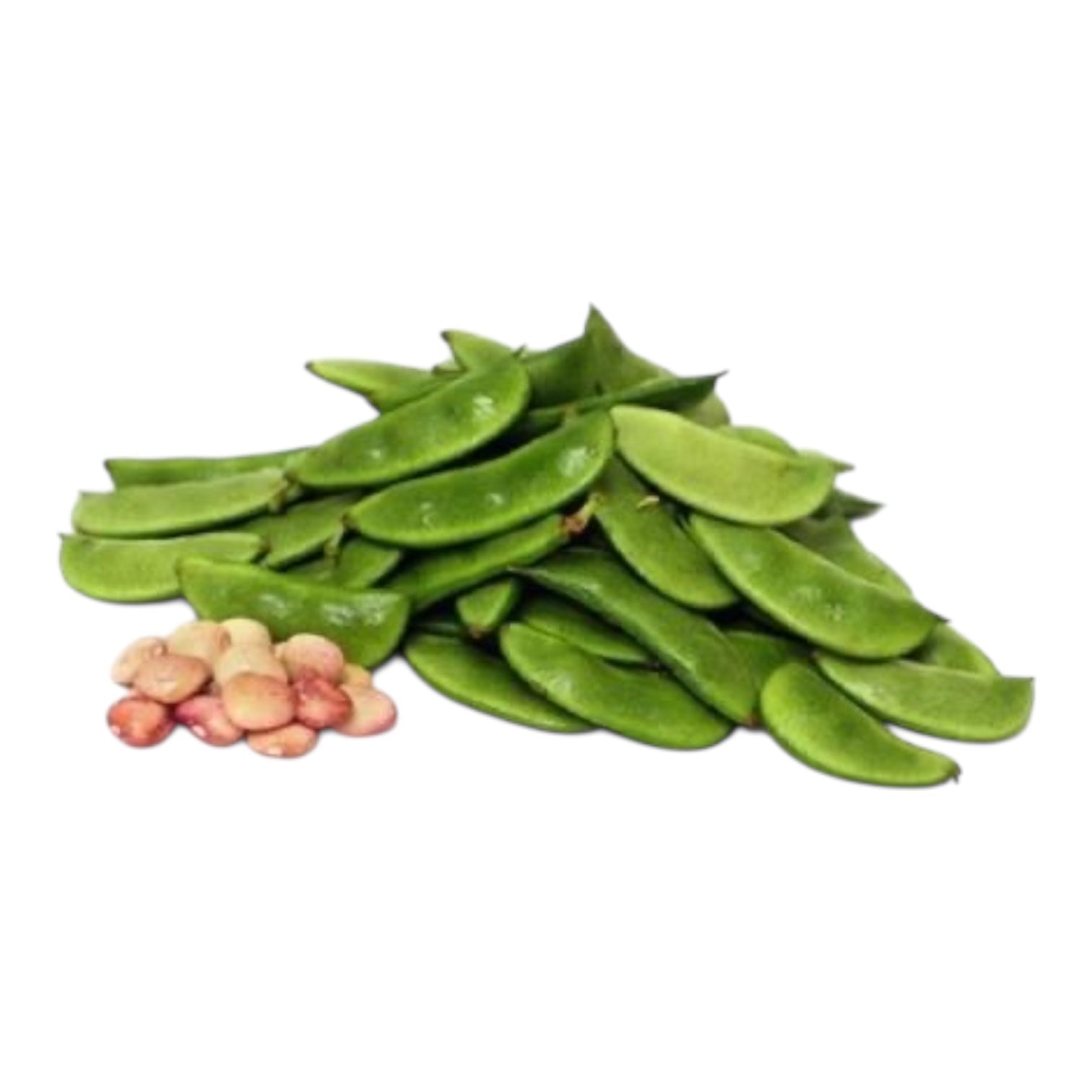 Hyacinth Bean /Desi Papdi 1 Lb