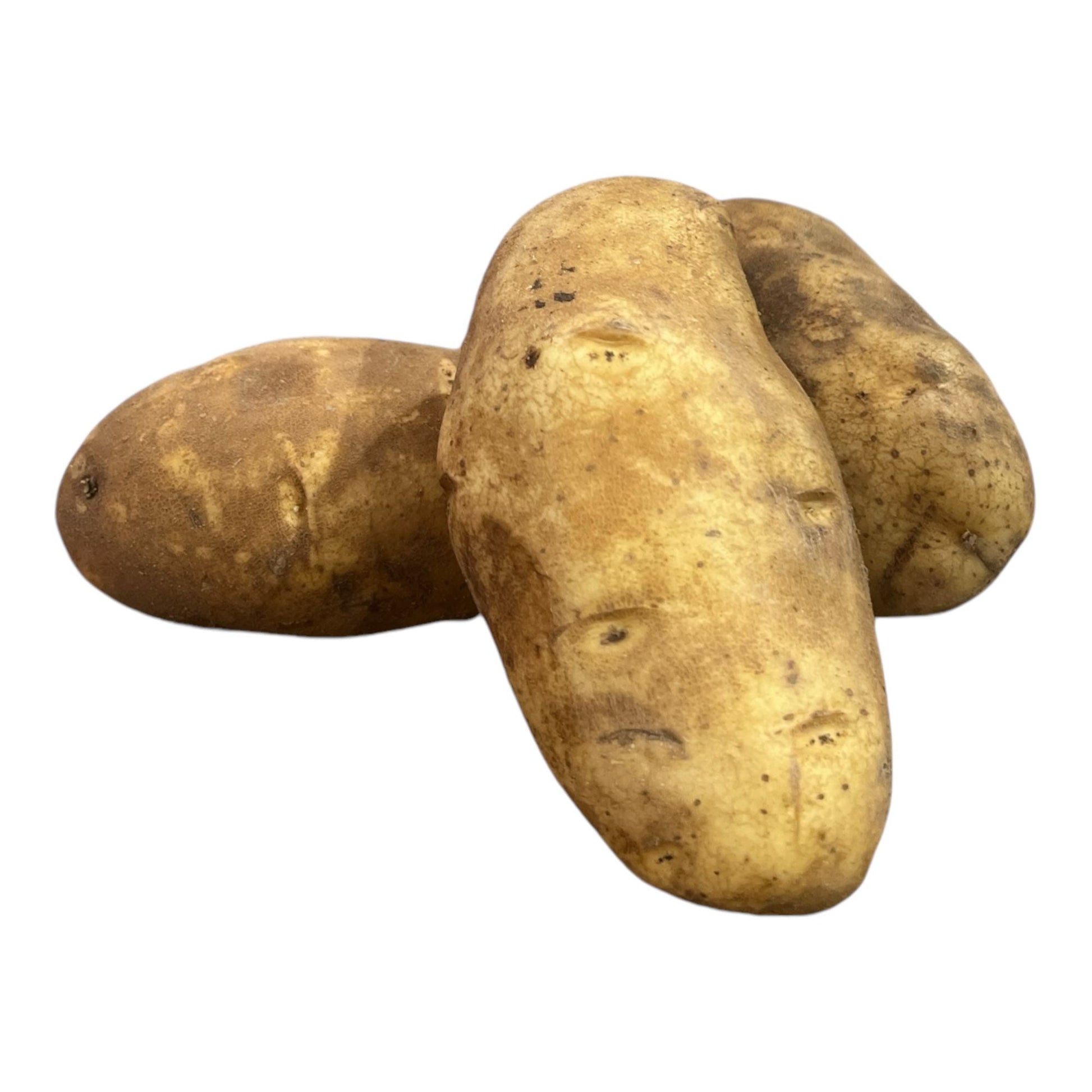 Idaho Potato 1.5 to 2 Lb