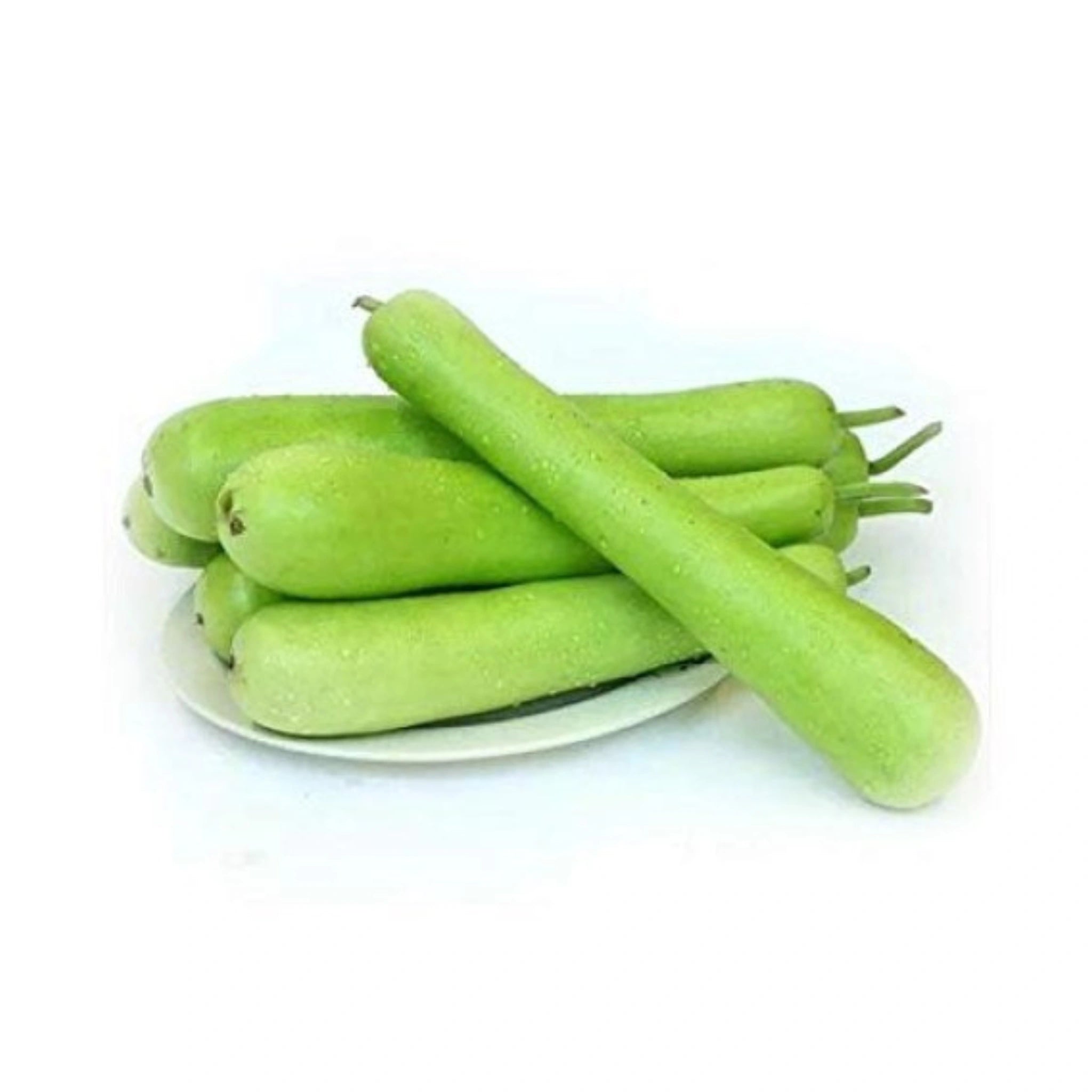 Indian Bottle Gourd (Dudhi) 1 to 1.5 Lb