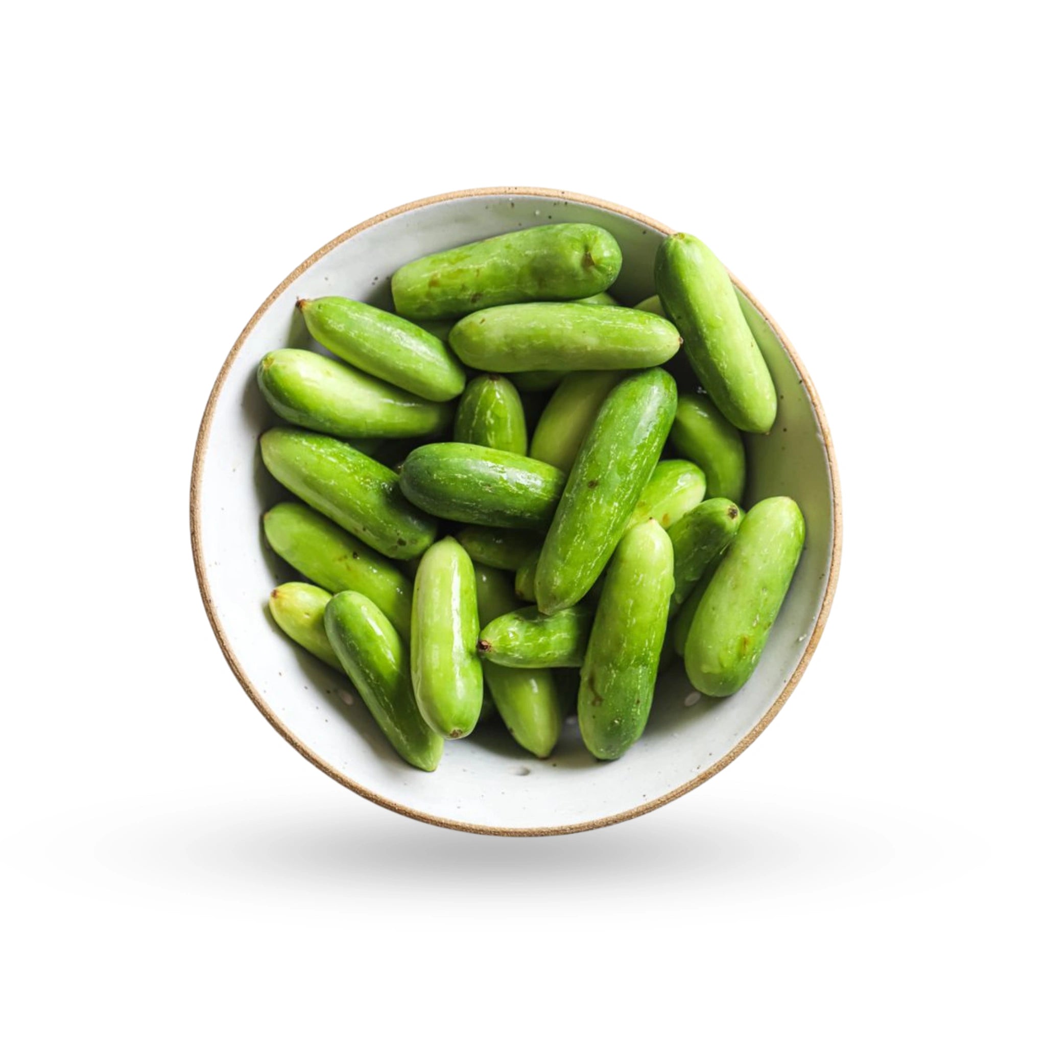 Ivy Gourd / Tindora 1 LB