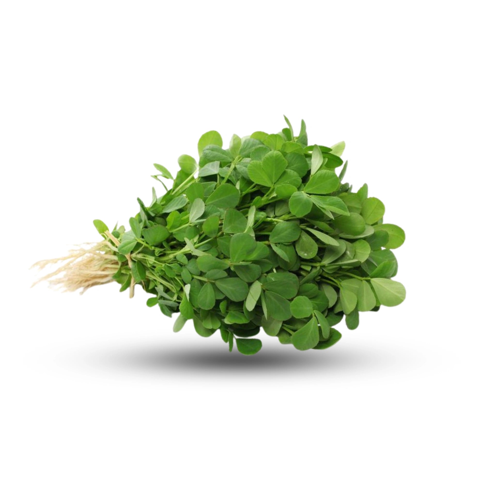 Methi Leaves Pack of 1