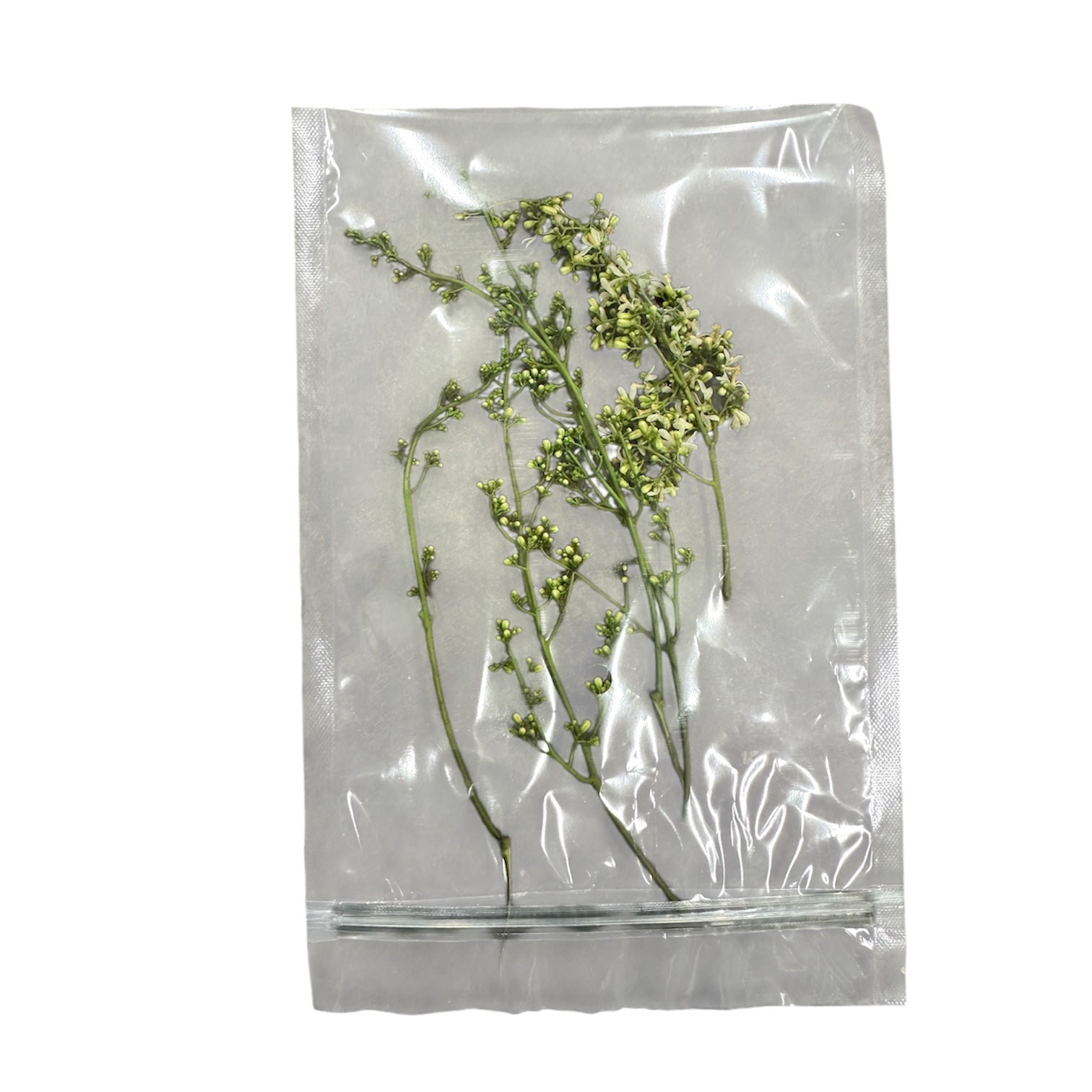 Neem Flowers 1 Pack