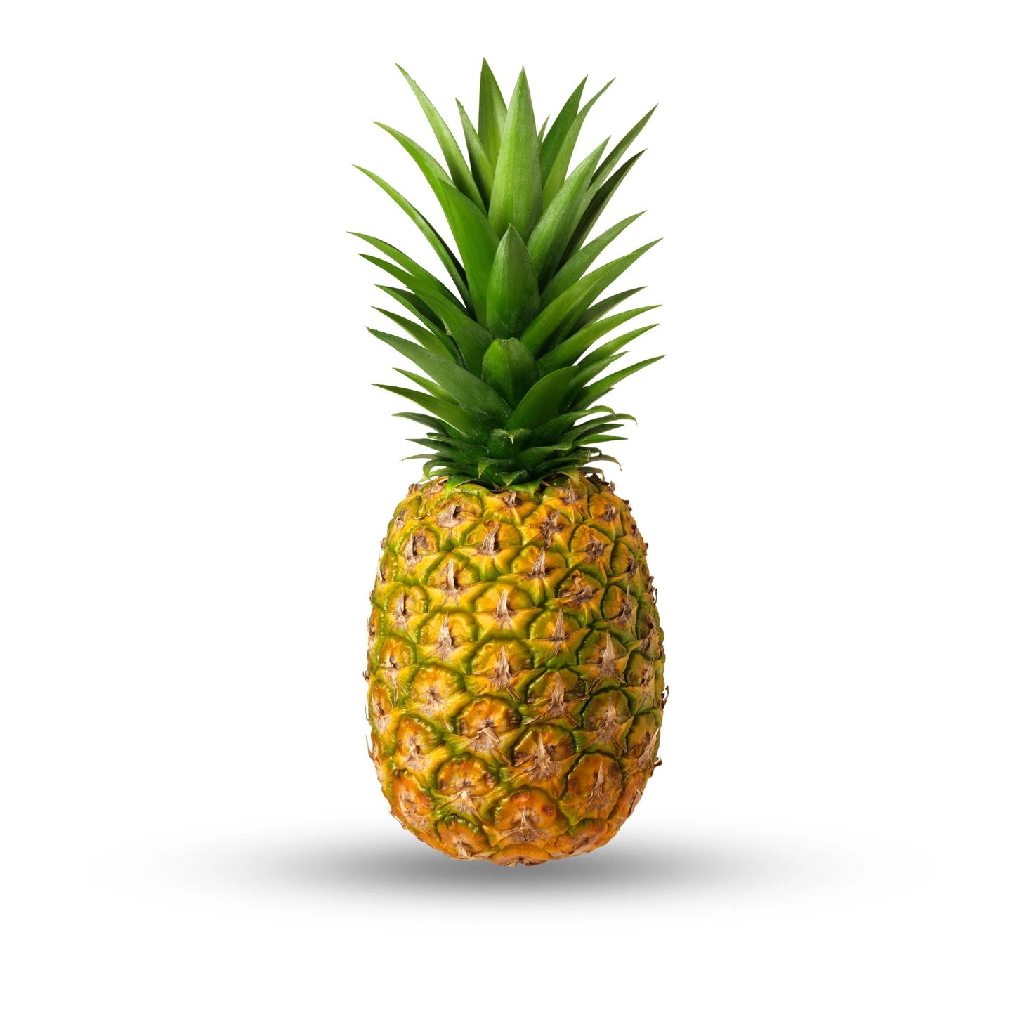 Pineapple 1 Ct