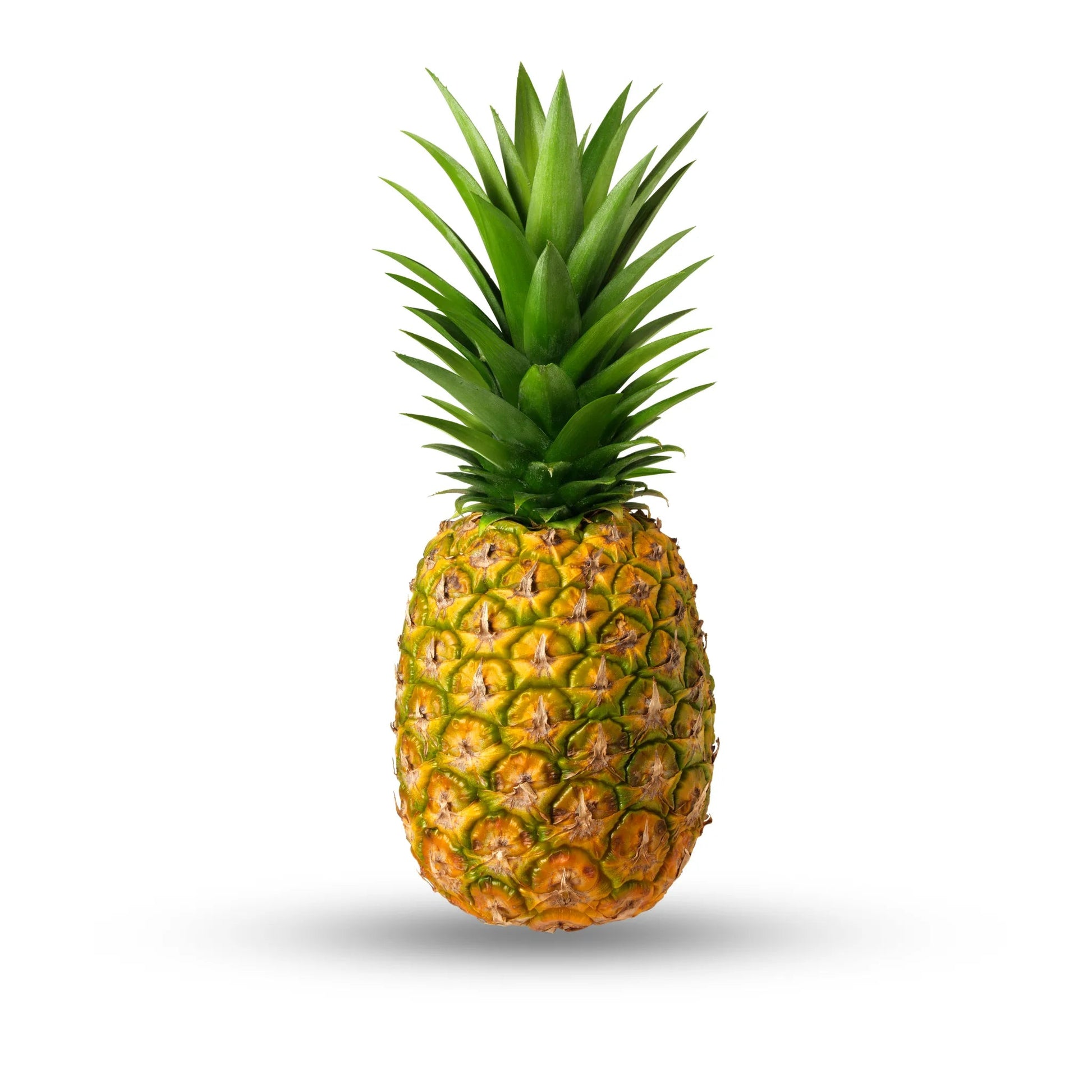 Pineapple 1 Ct