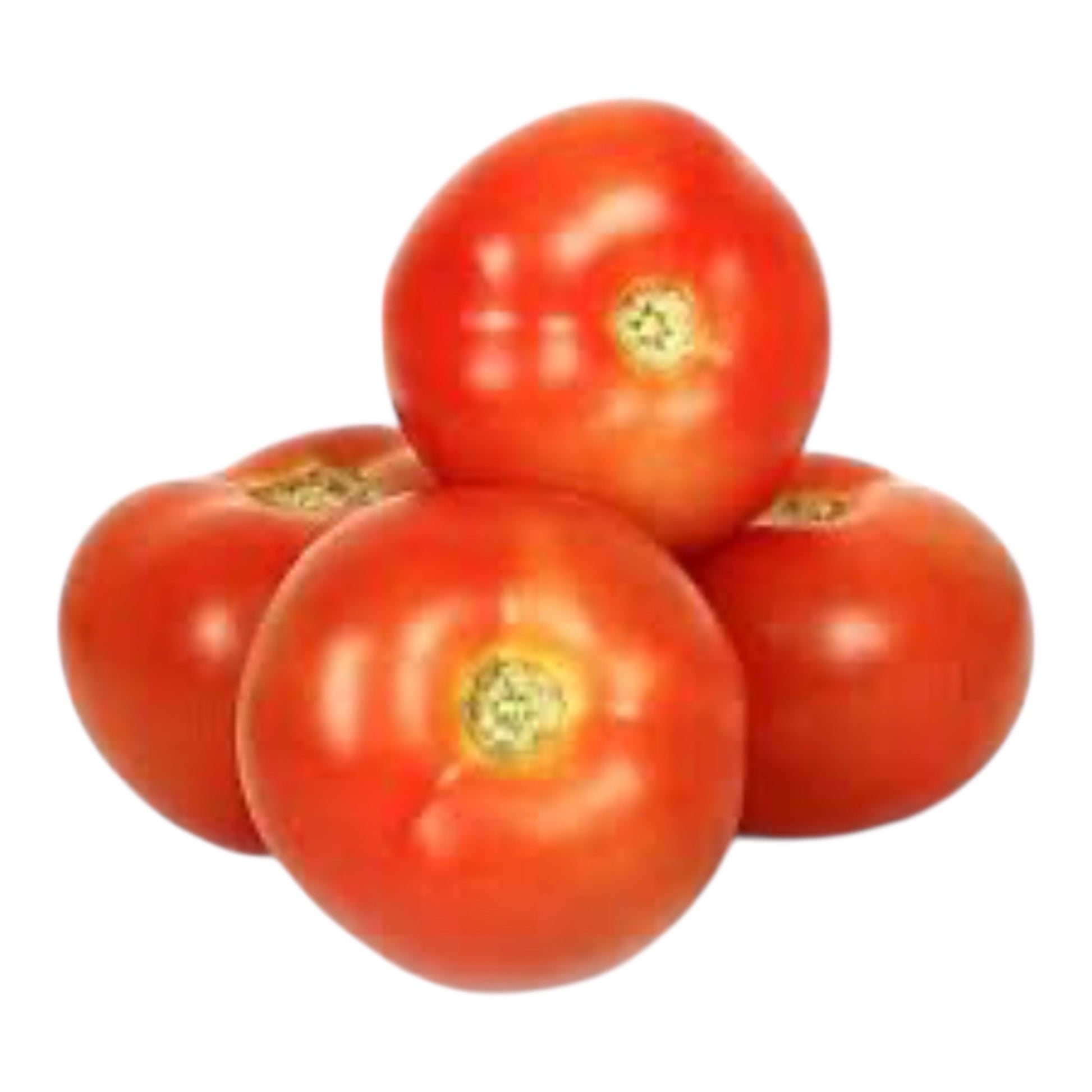 Round Tomato