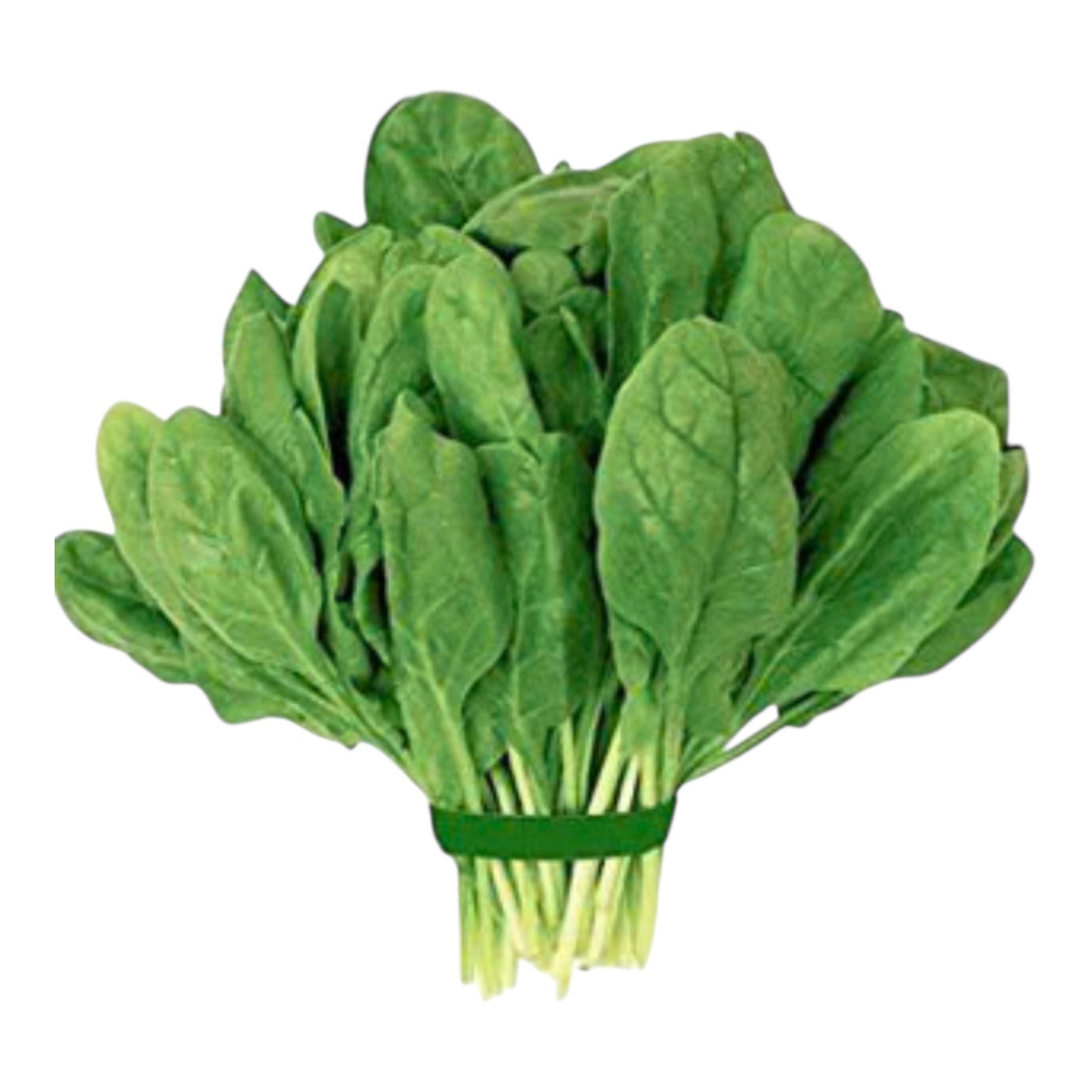 Spinach Bunch 1 ct