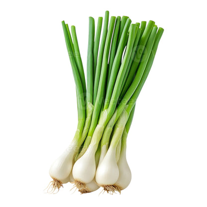 Spring Onion/ Green Onion Bunch