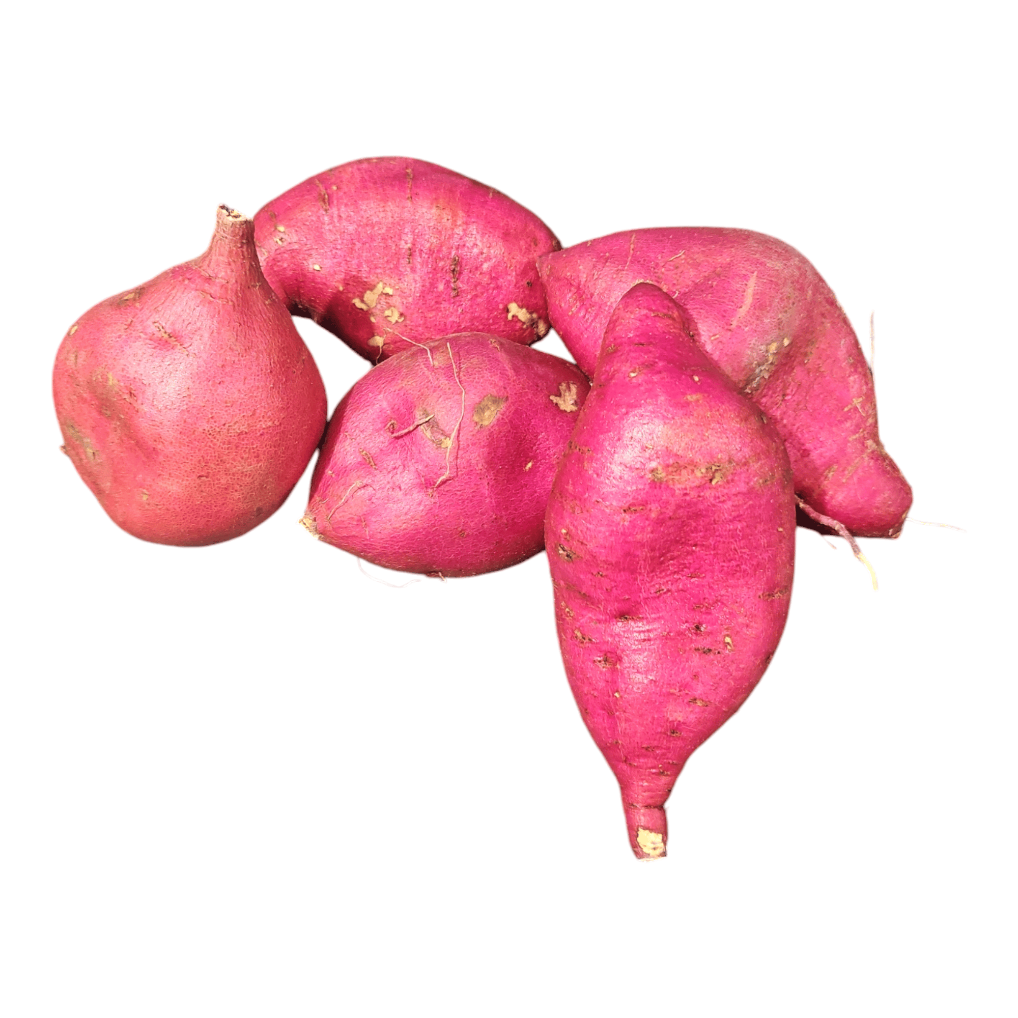 Sweet Potato 1 LB