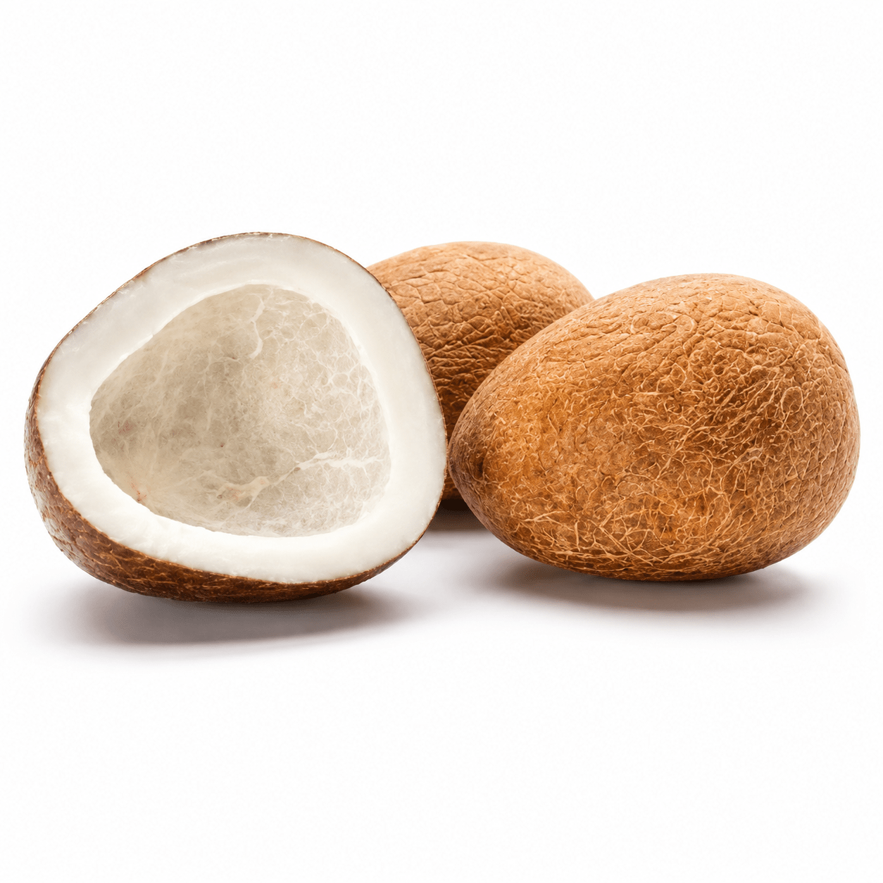 Whole Dry Coconut (Copra) 1 Ct