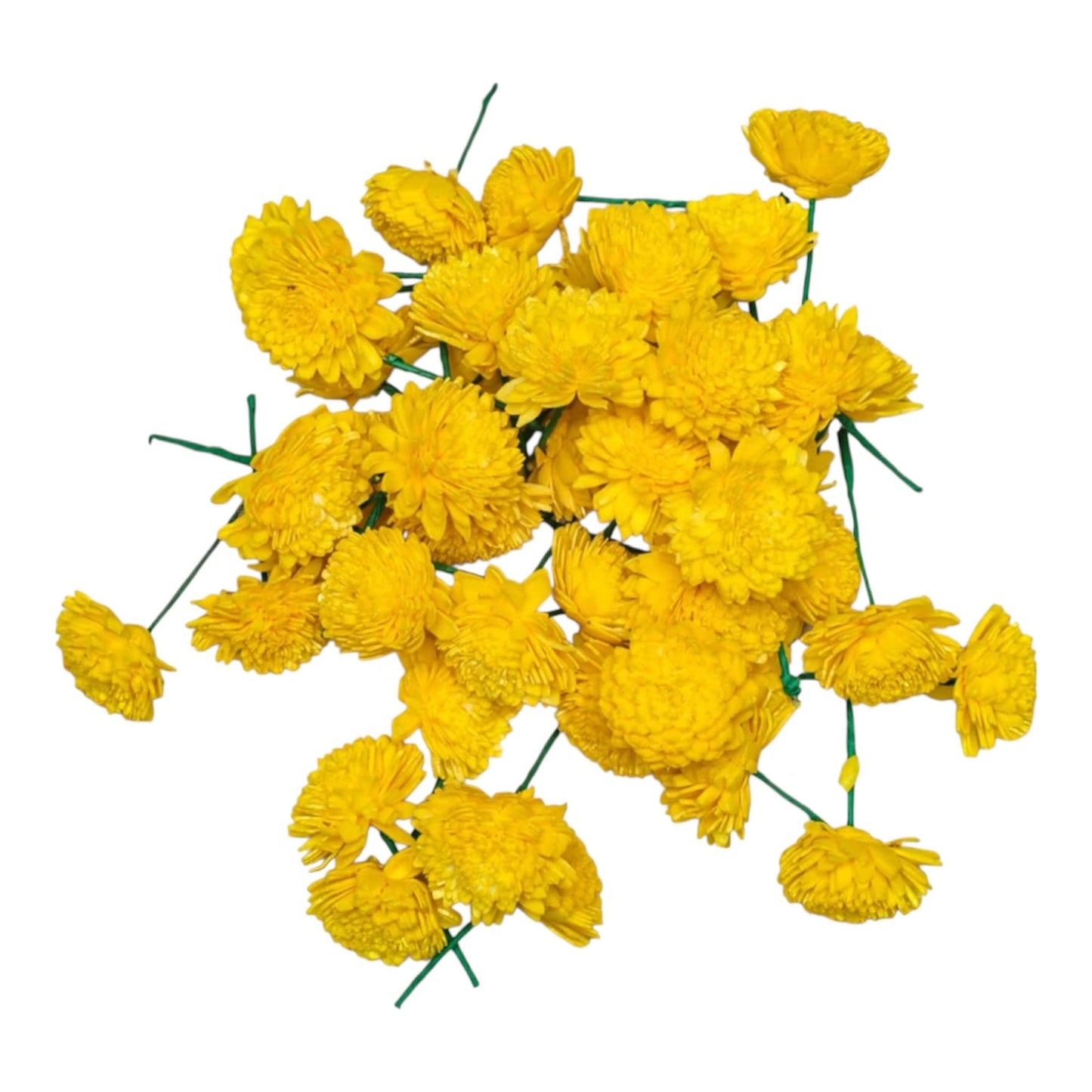 Yellow Chrysanthemum Flowers (Chamanthi) 100 Gm