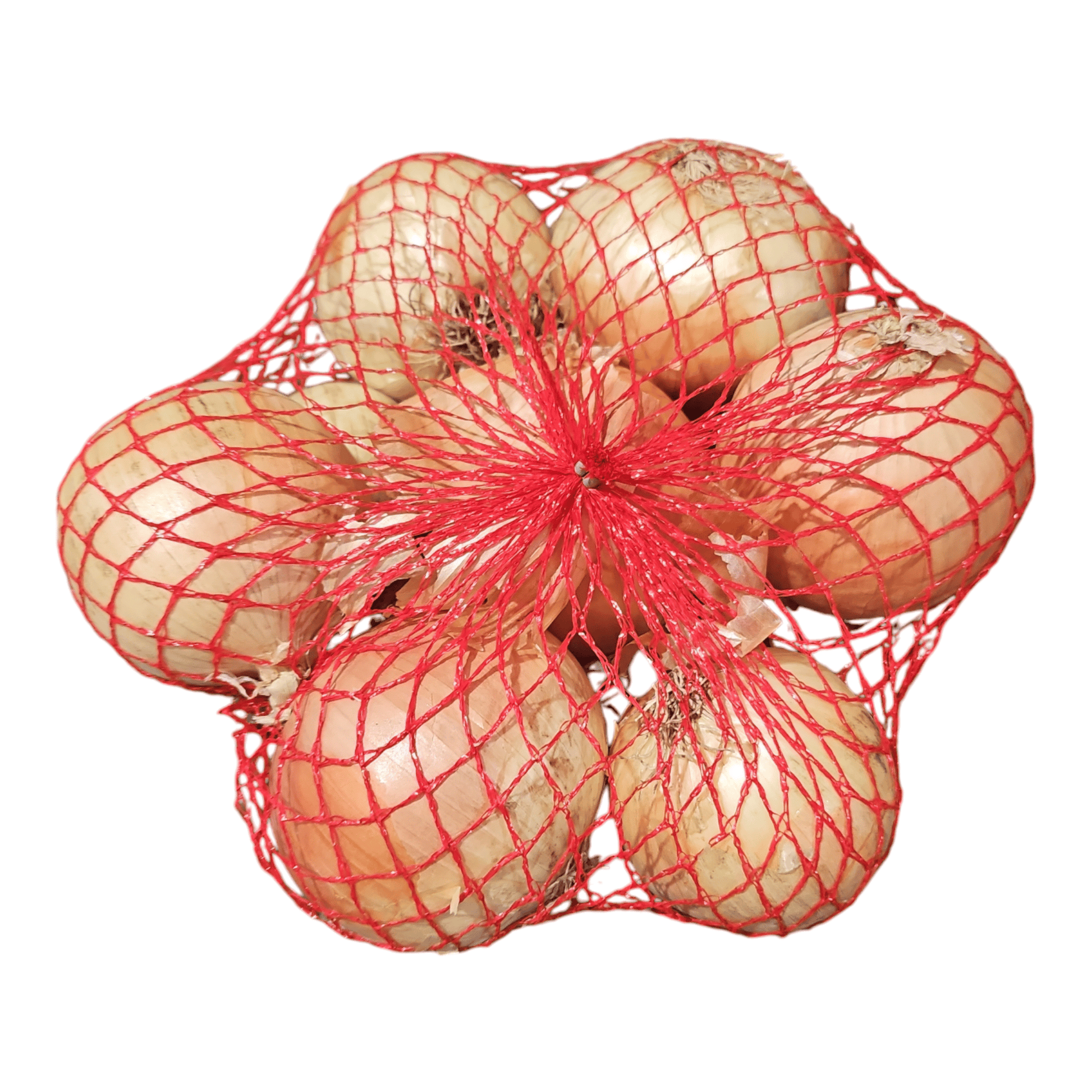 Yellow Onion Bag 3 Lb