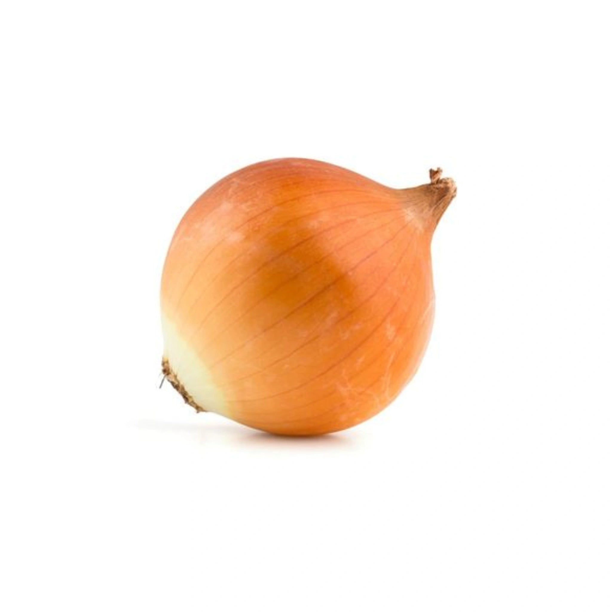 Yellow Onions 1 Lb