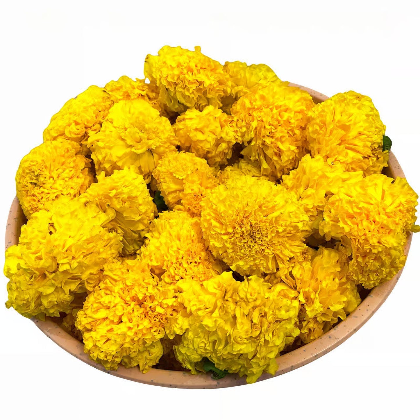 Marigold Yellow 100 Gm