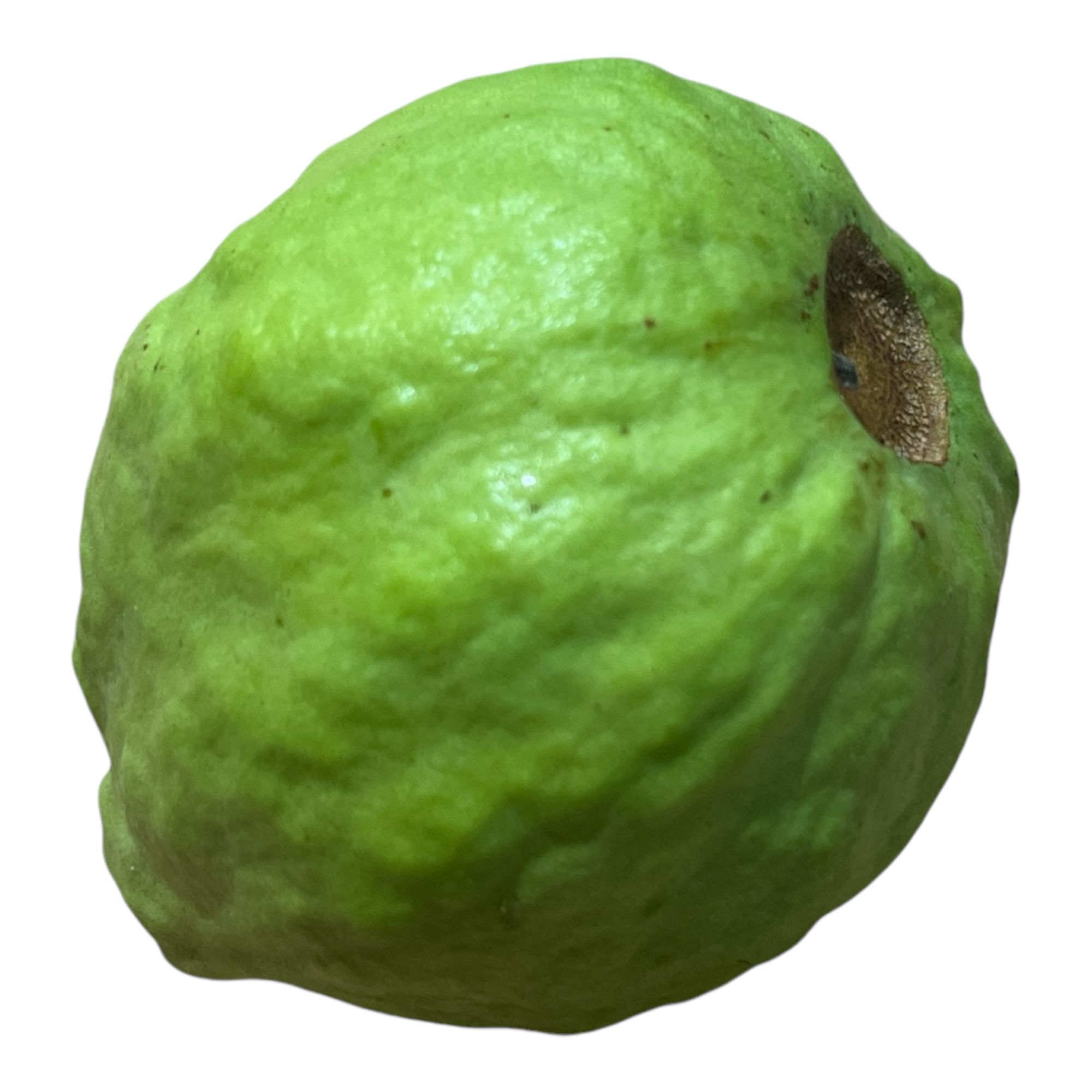 Guava - 1LB