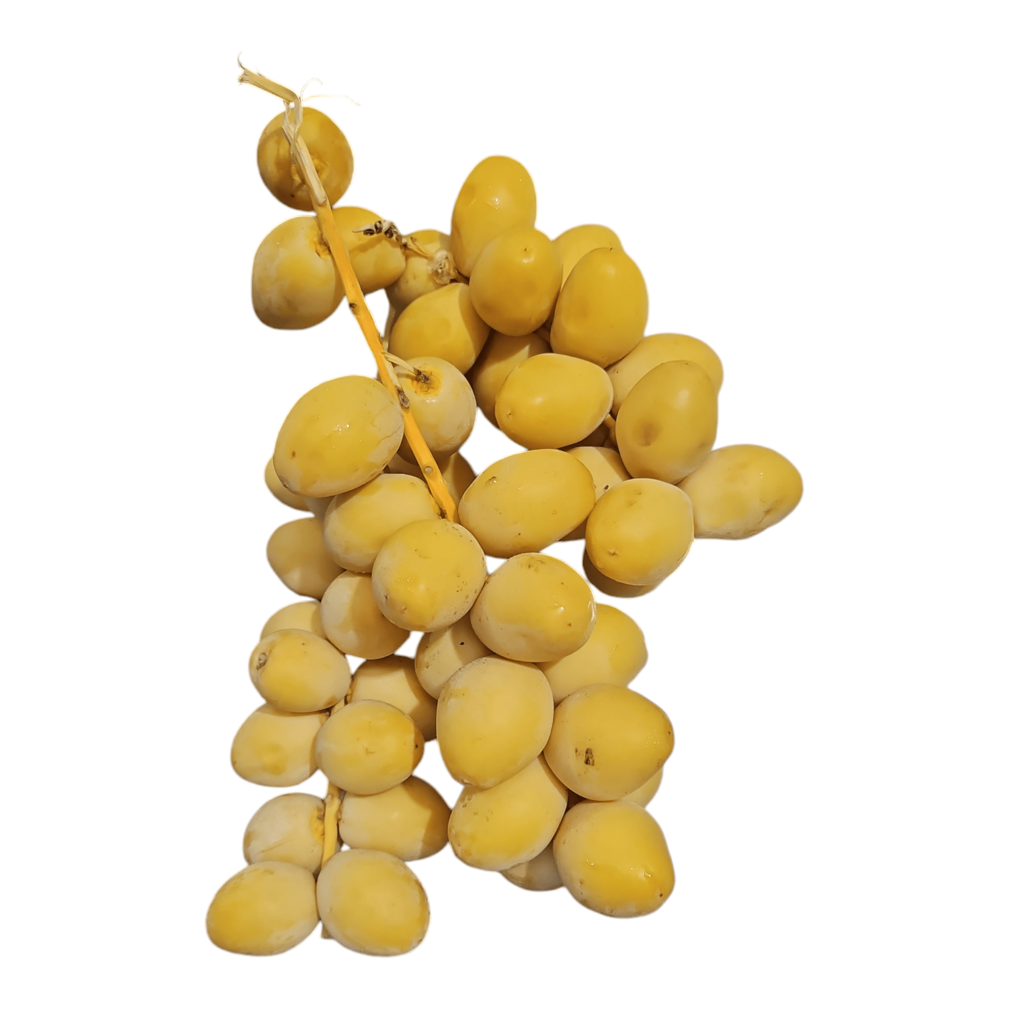 Fresh Dates (Yellow) - 1LB