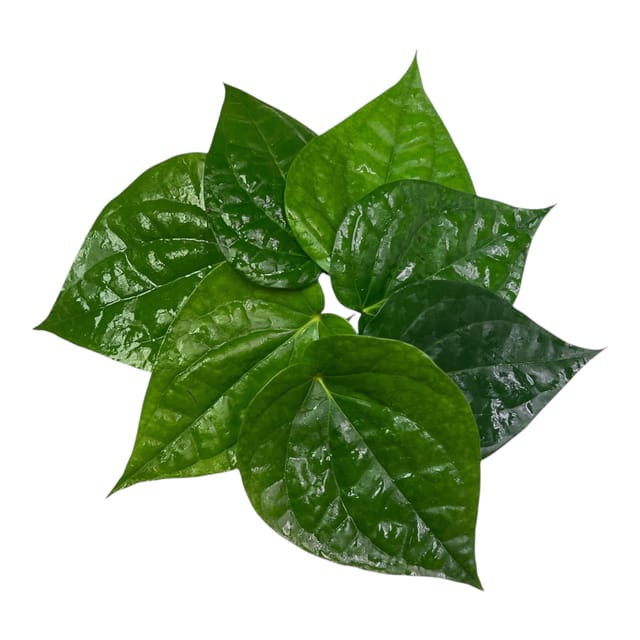 Paan leaves 4 PCS