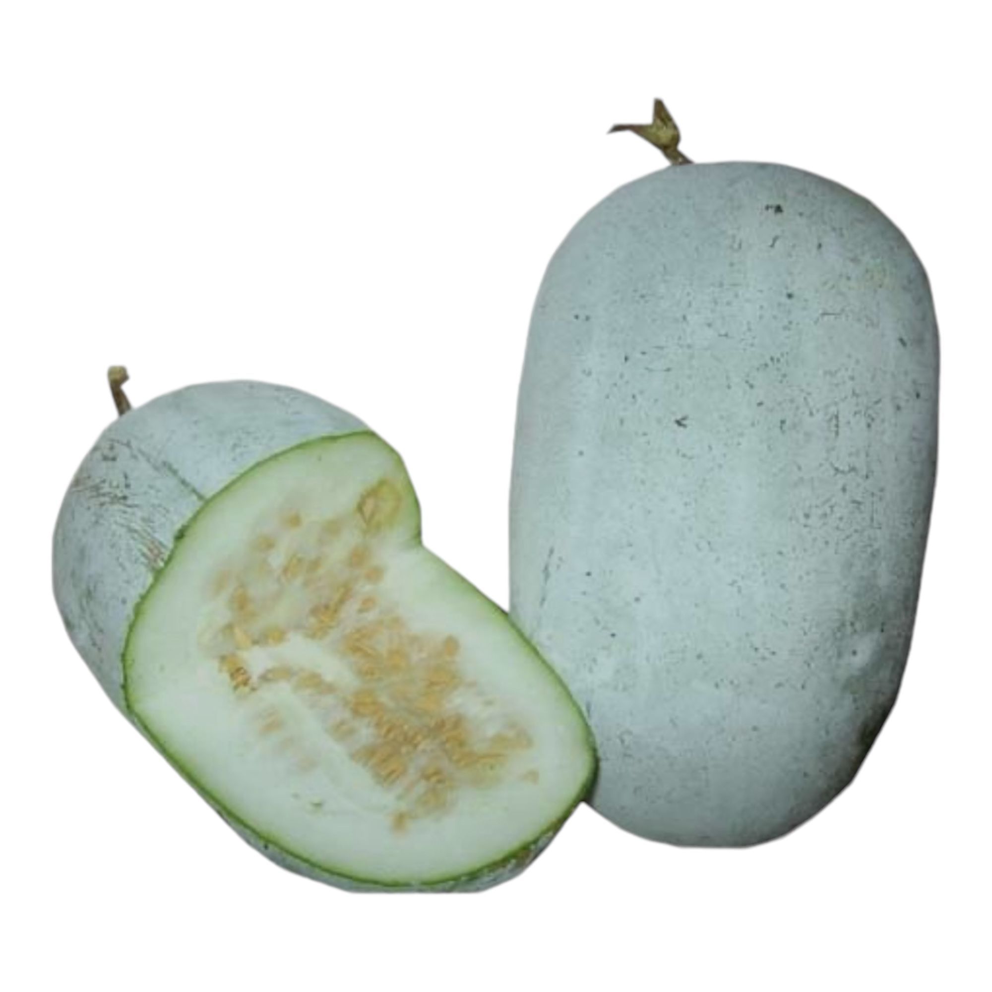 Winter Melon 1 LB