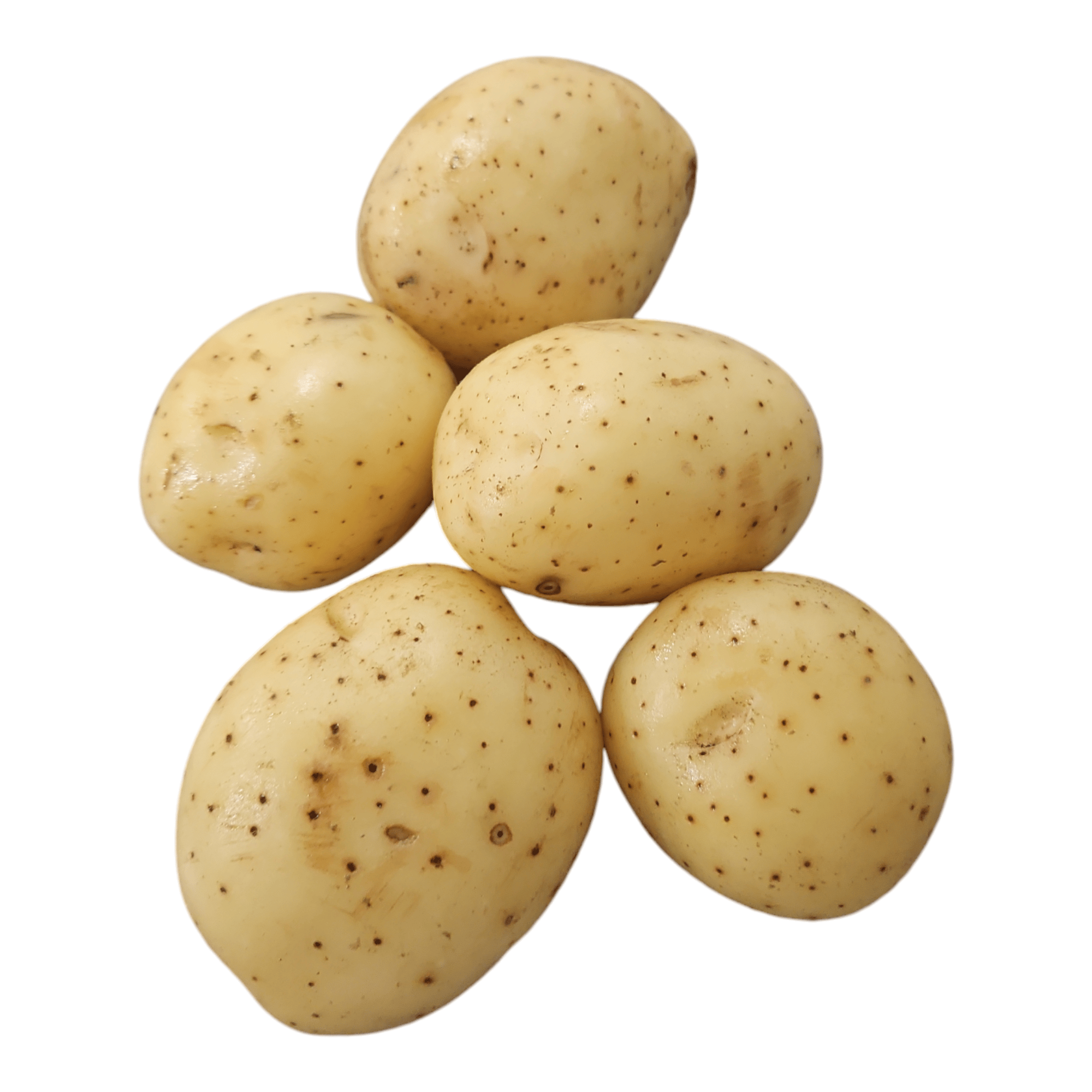 White Potato 1 LB