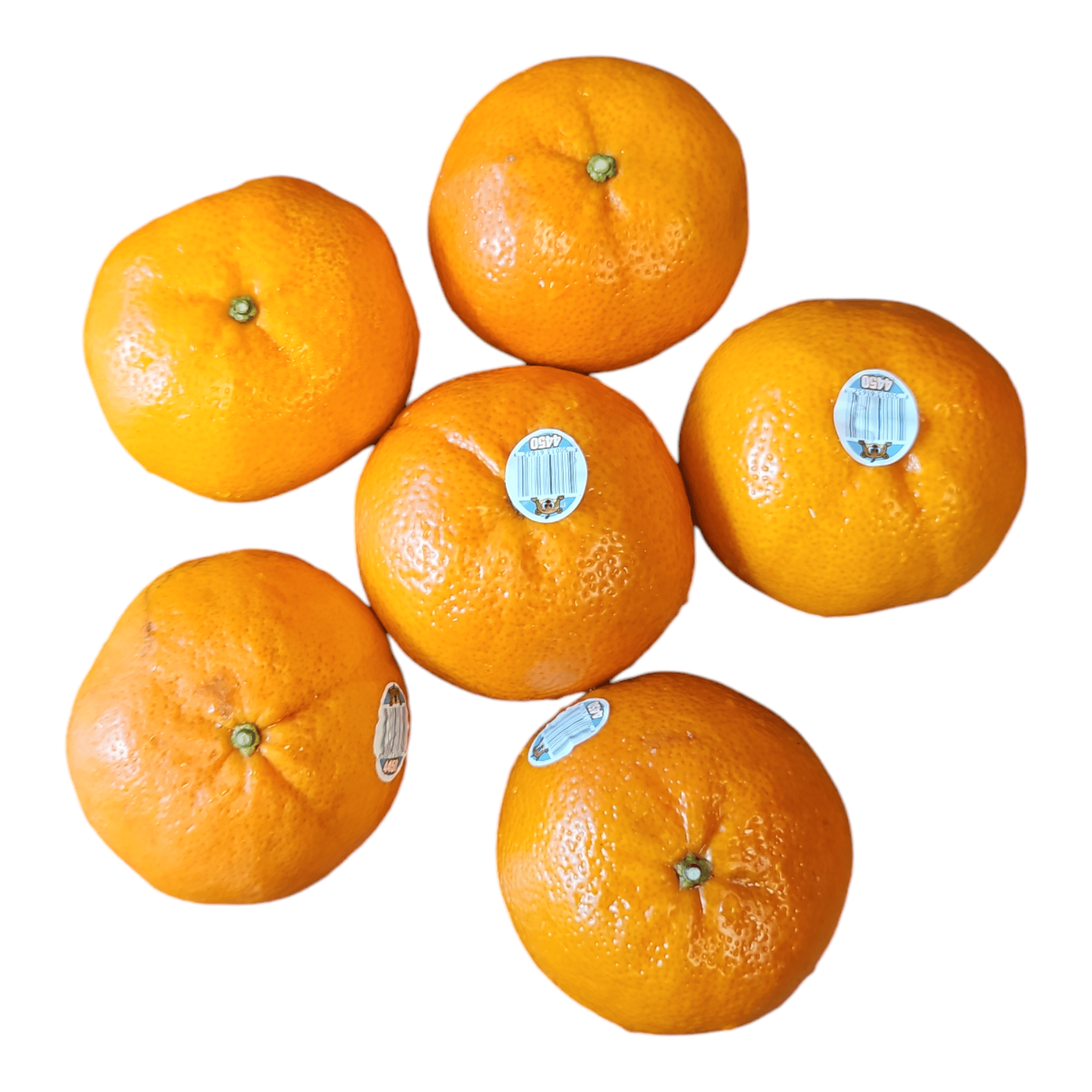 Seasonal mandarin Orange 6ct